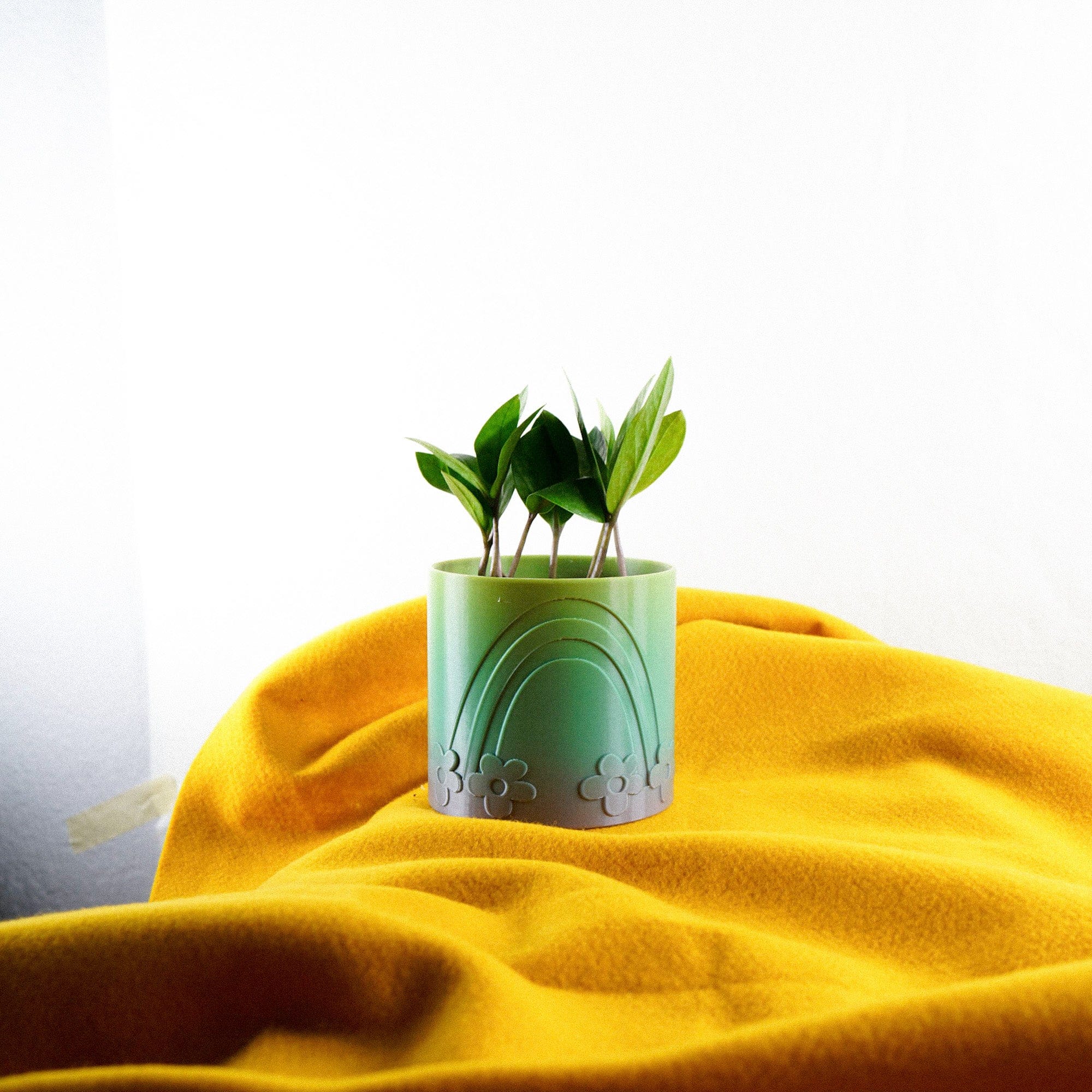 Daisy Rainbow Planter - My American Goods