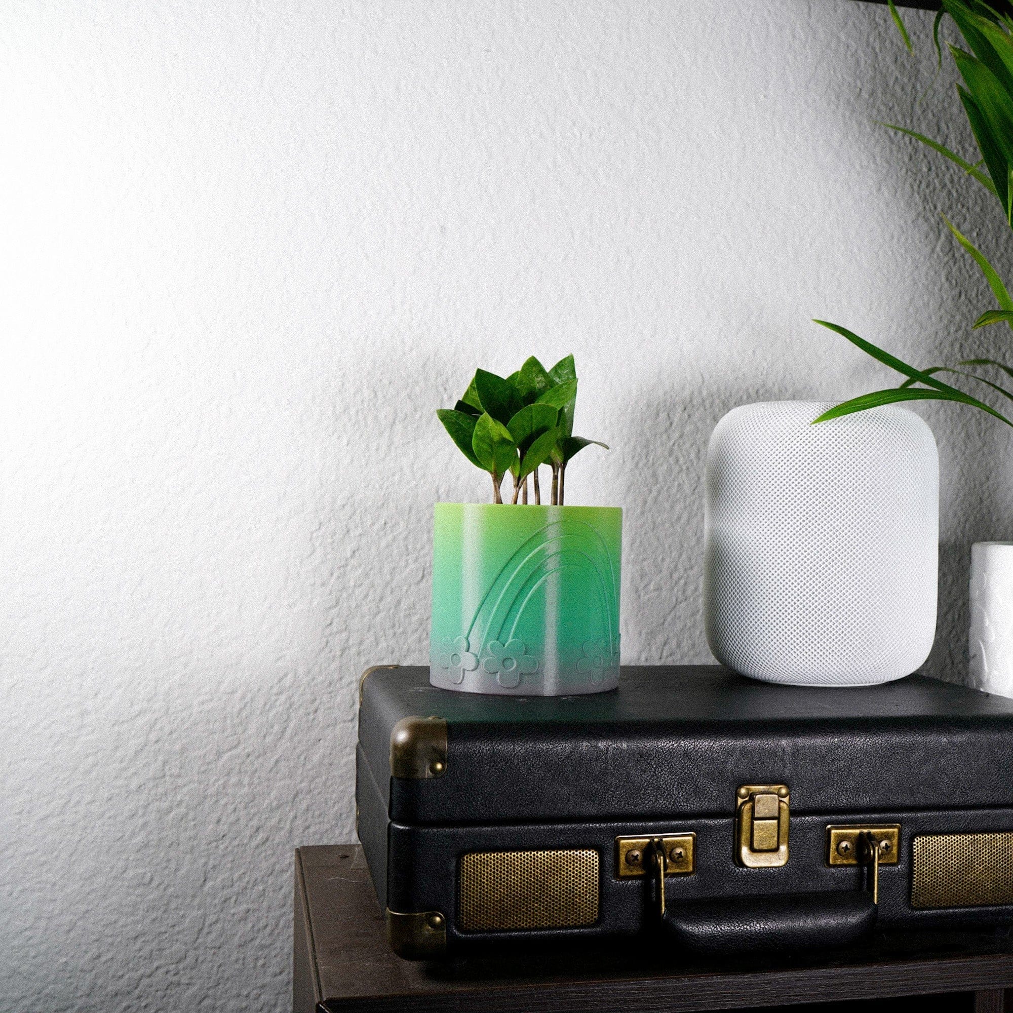 Daisy Rainbow Planter - My American Goods