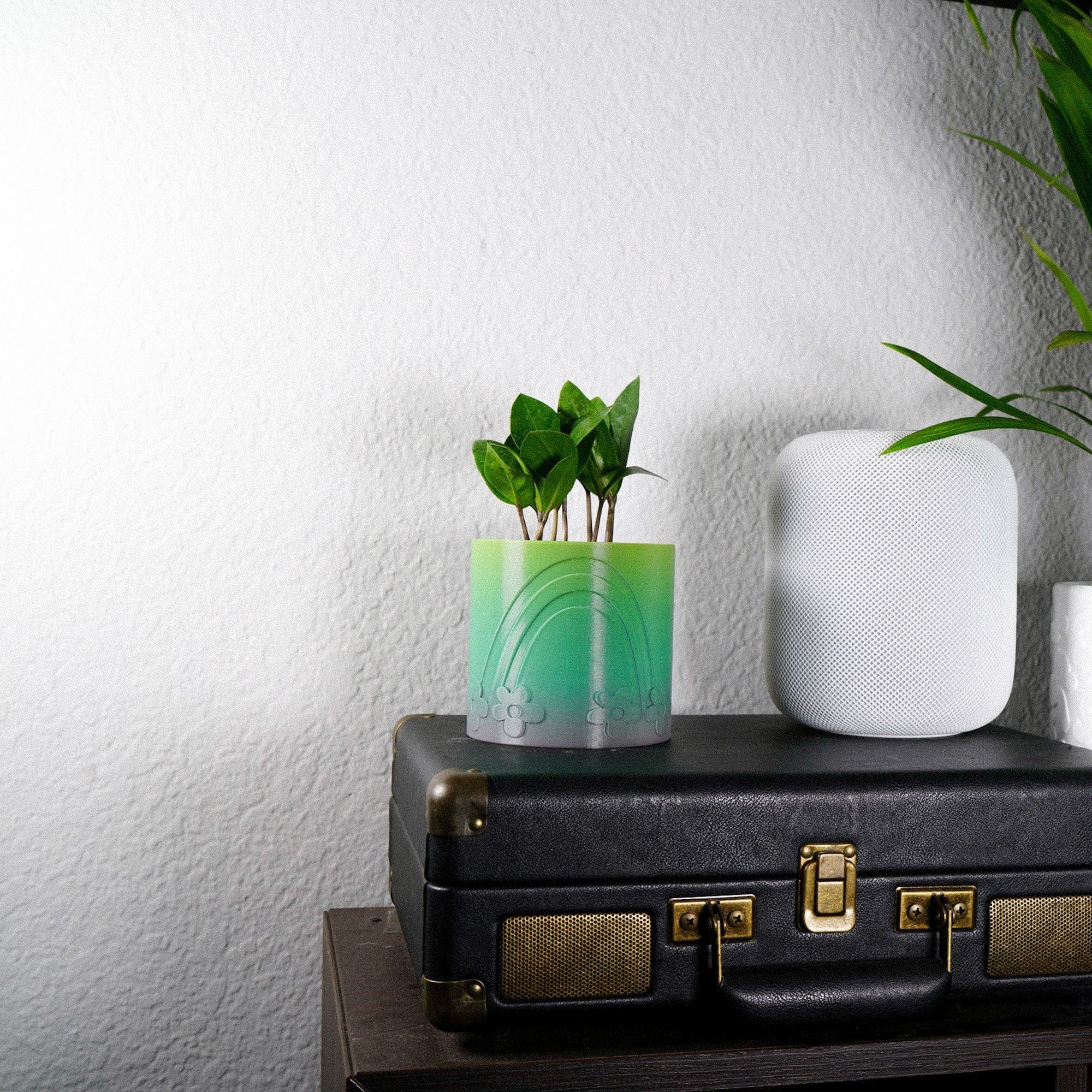Daisy Rainbow Planter - My American Goods
