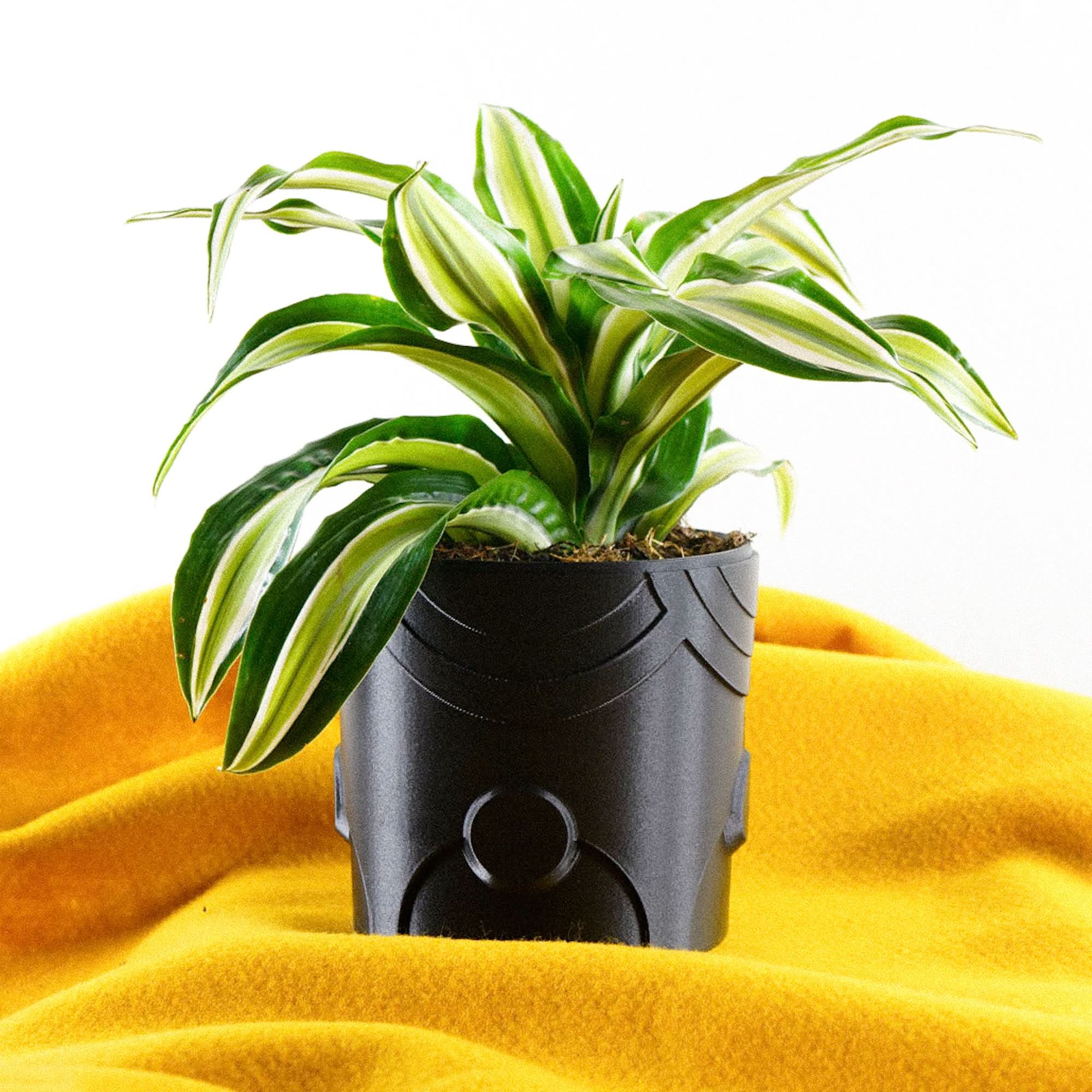 Rosebud HomeGoods Pots & Planters Deep Space Planter