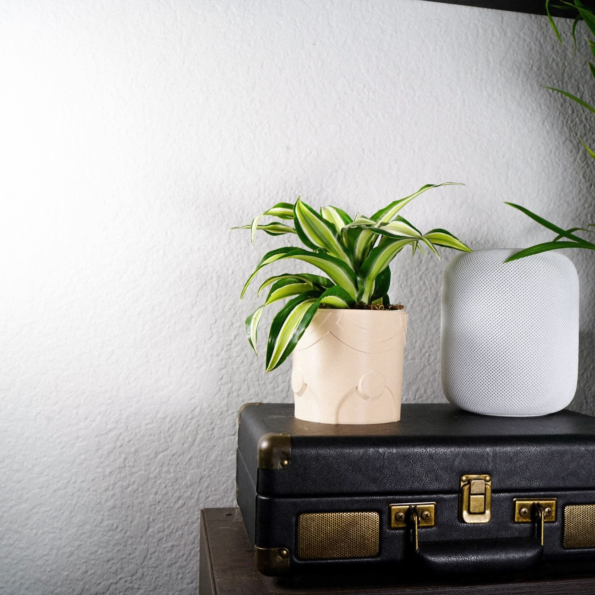 Rosebud HomeGoods Pots & Planters Deep Space Planter