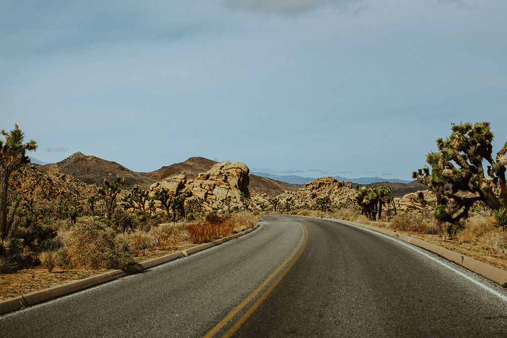 Desert Southwest - My American Goods