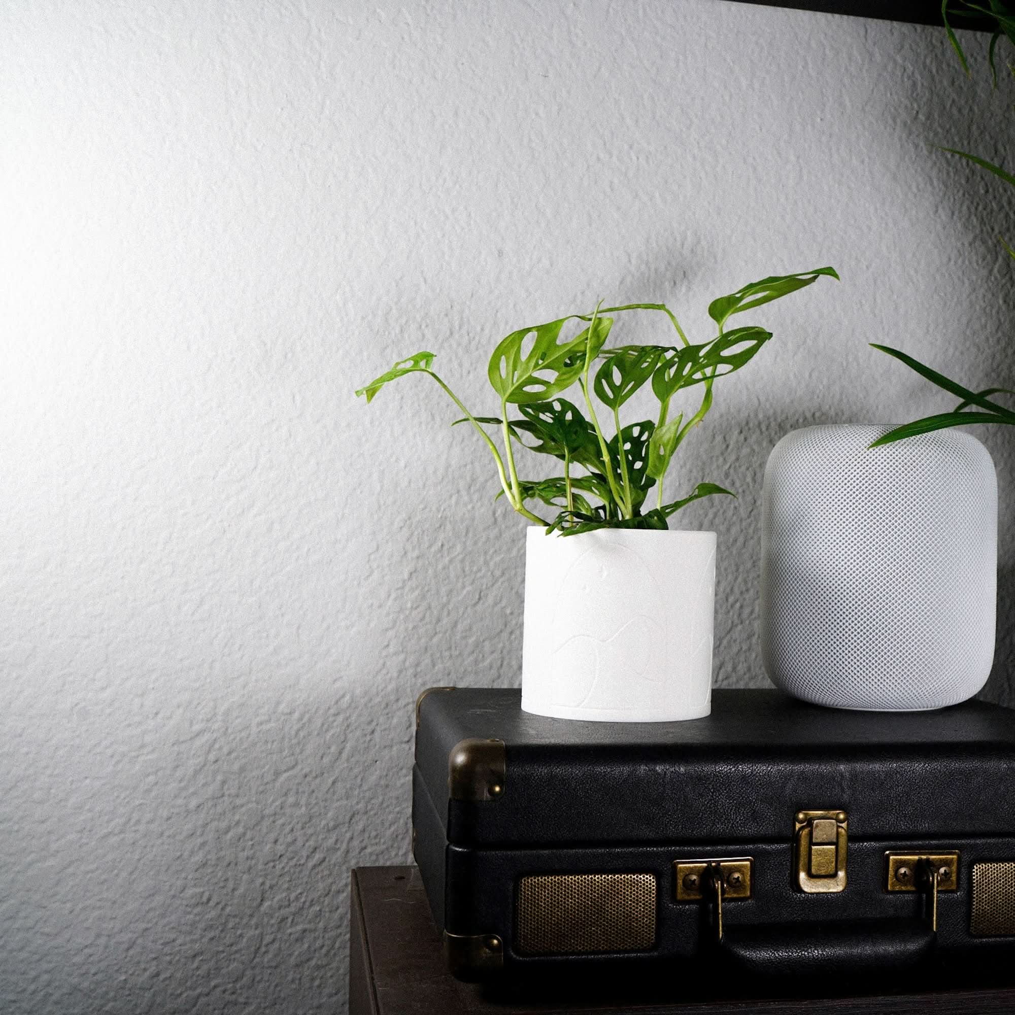 Rosebud HomeGoods Pots & Planters Desert Scape Planter
