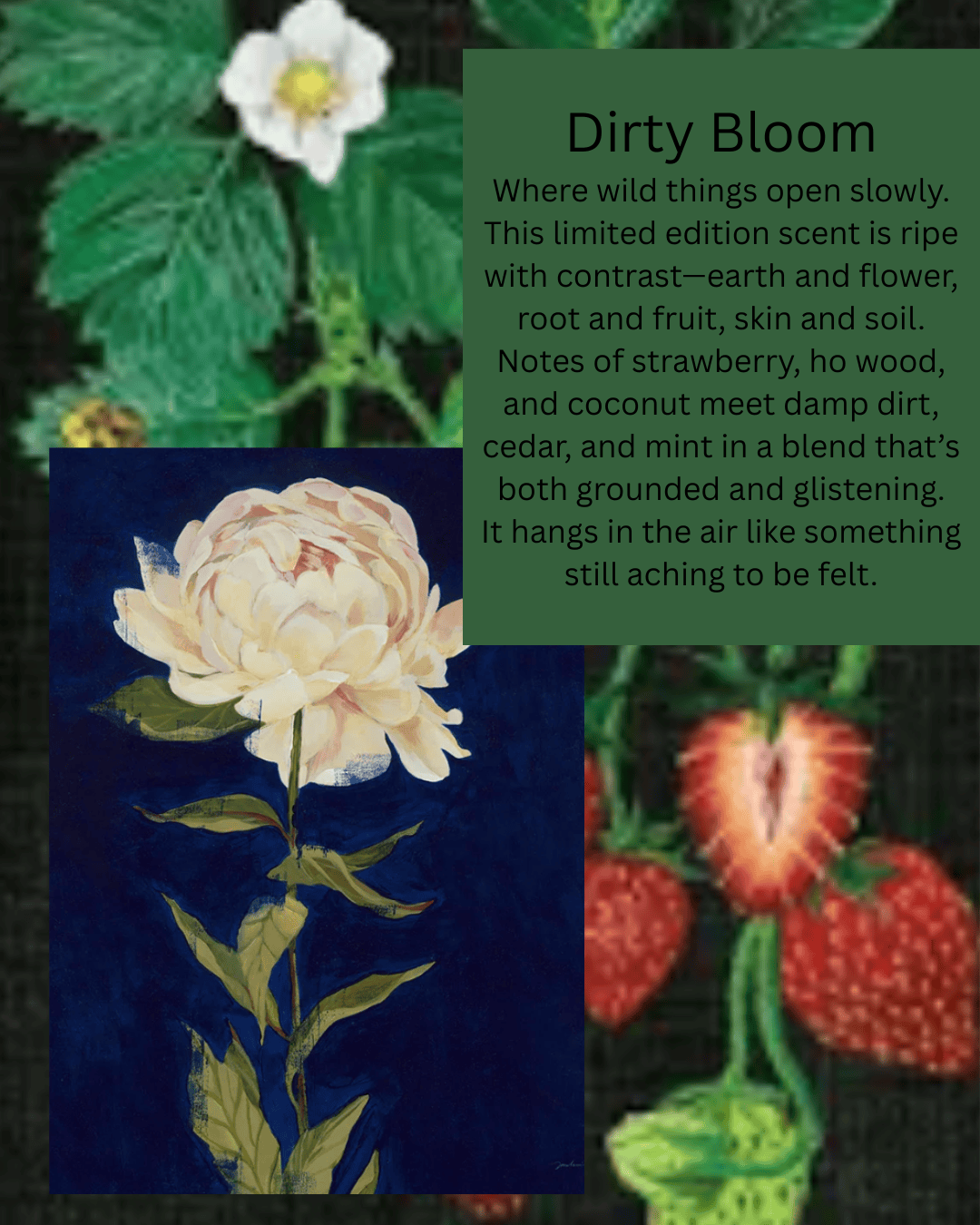 Heaven On Main Street SCENT Dirty Bloom - Botanical Perfume