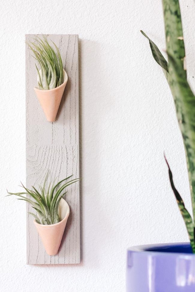 Carter + Rose Blush / With Plant Double Ceramic Wall Planter