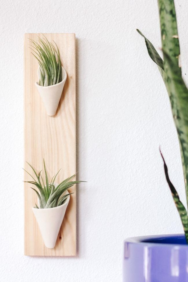 Carter + Rose Ivory / With Plant Double Ceramic Wall Planter