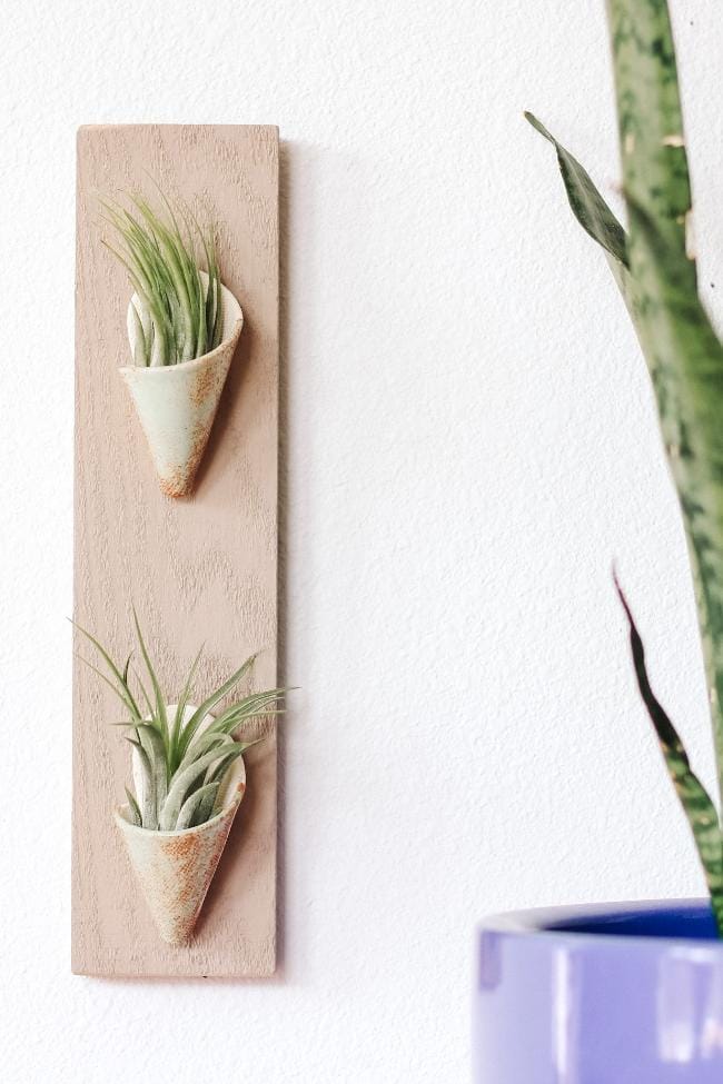 Carter + Rose Pistachio / With Plant Double Ceramic Wall Planter