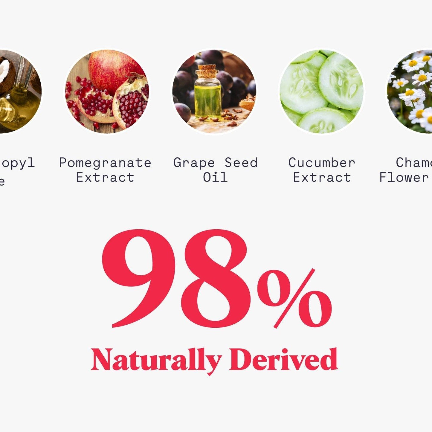Whole Body Deodorant Wipes - My American Goods