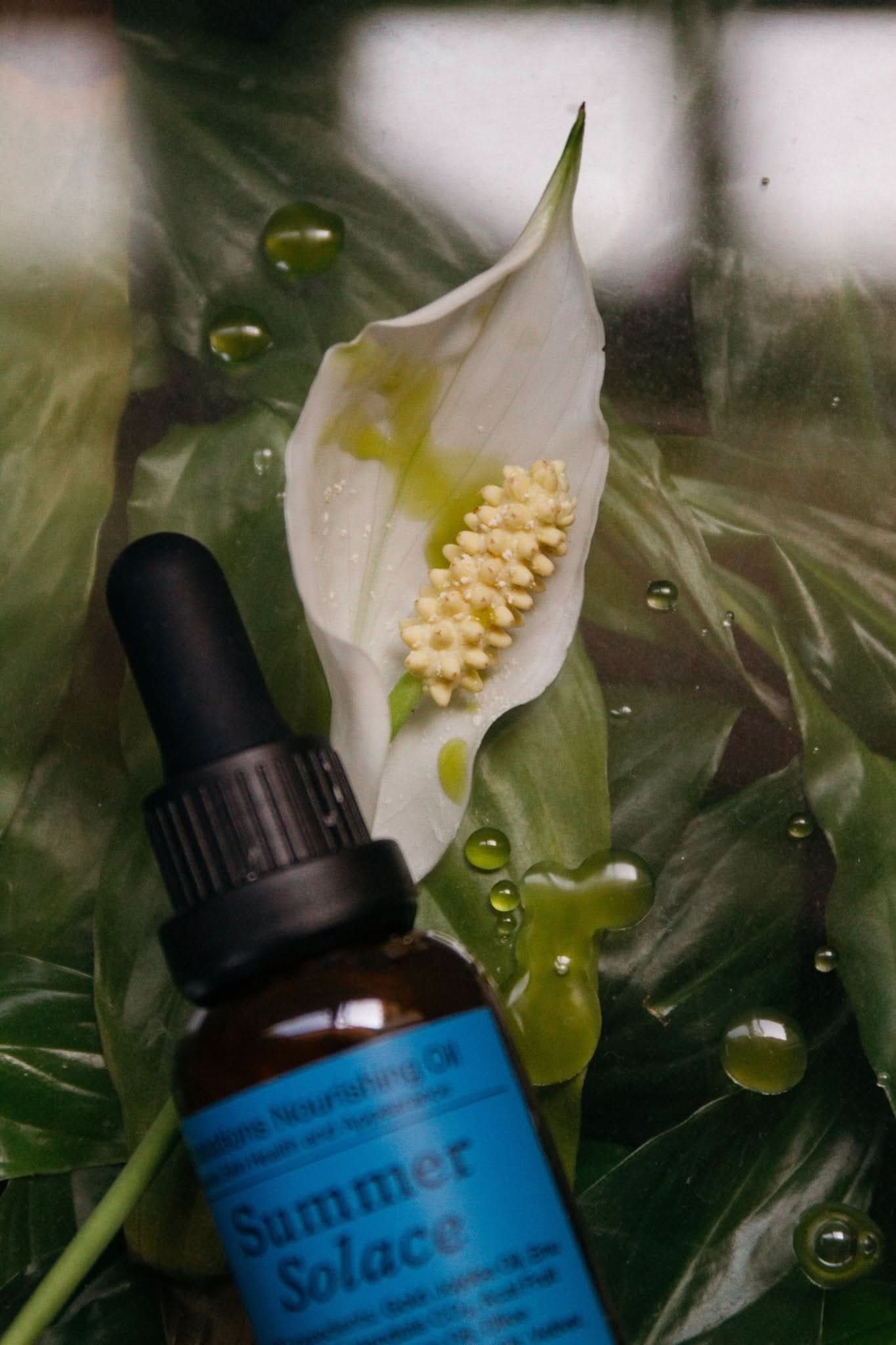 Summer Solace Tallow Face and Hair Oil Emanations Face Oil – Deeply Nourishing | Champa, Tuberose & White Ginger Lil