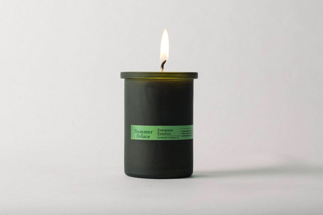 Evergreen Essence – Cedar & Oakmoss Candle | 6 oz Tallow & Beeswax - My American Goods