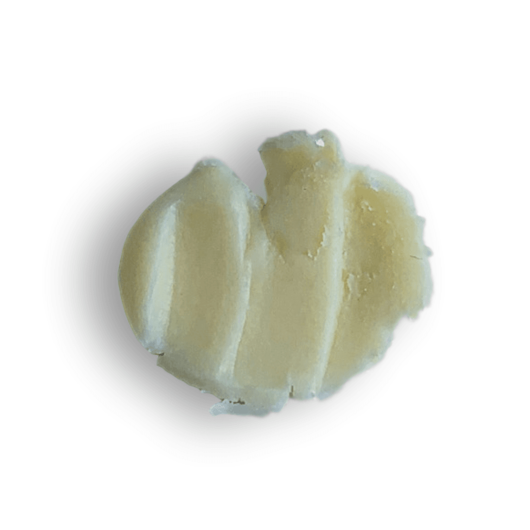 Tallow Stick, Lemon + Honey, 0.5 Oz - My American Goods