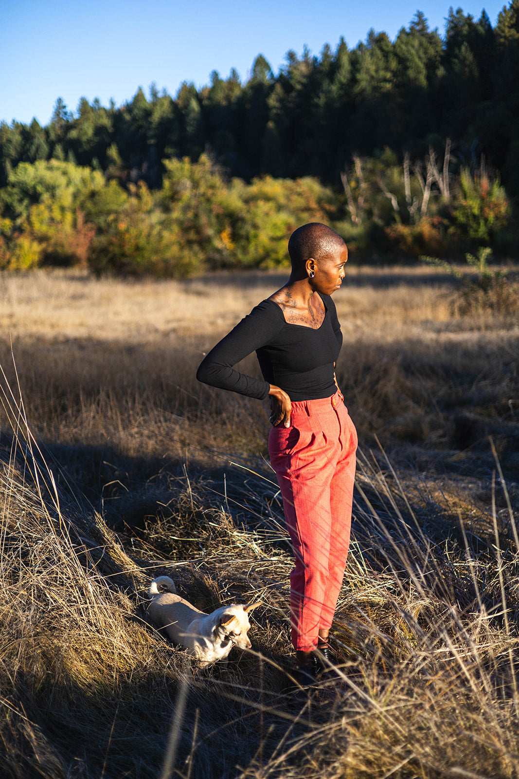 Field Day Pants Perfect Pant in Red Sherbert Canvas