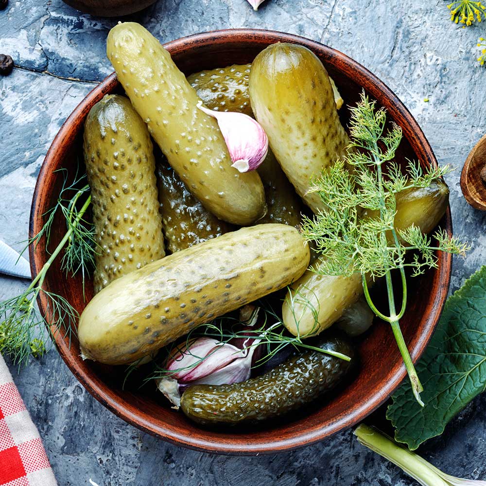 Fresh Dill Pickle Lip Balm - My American Goods