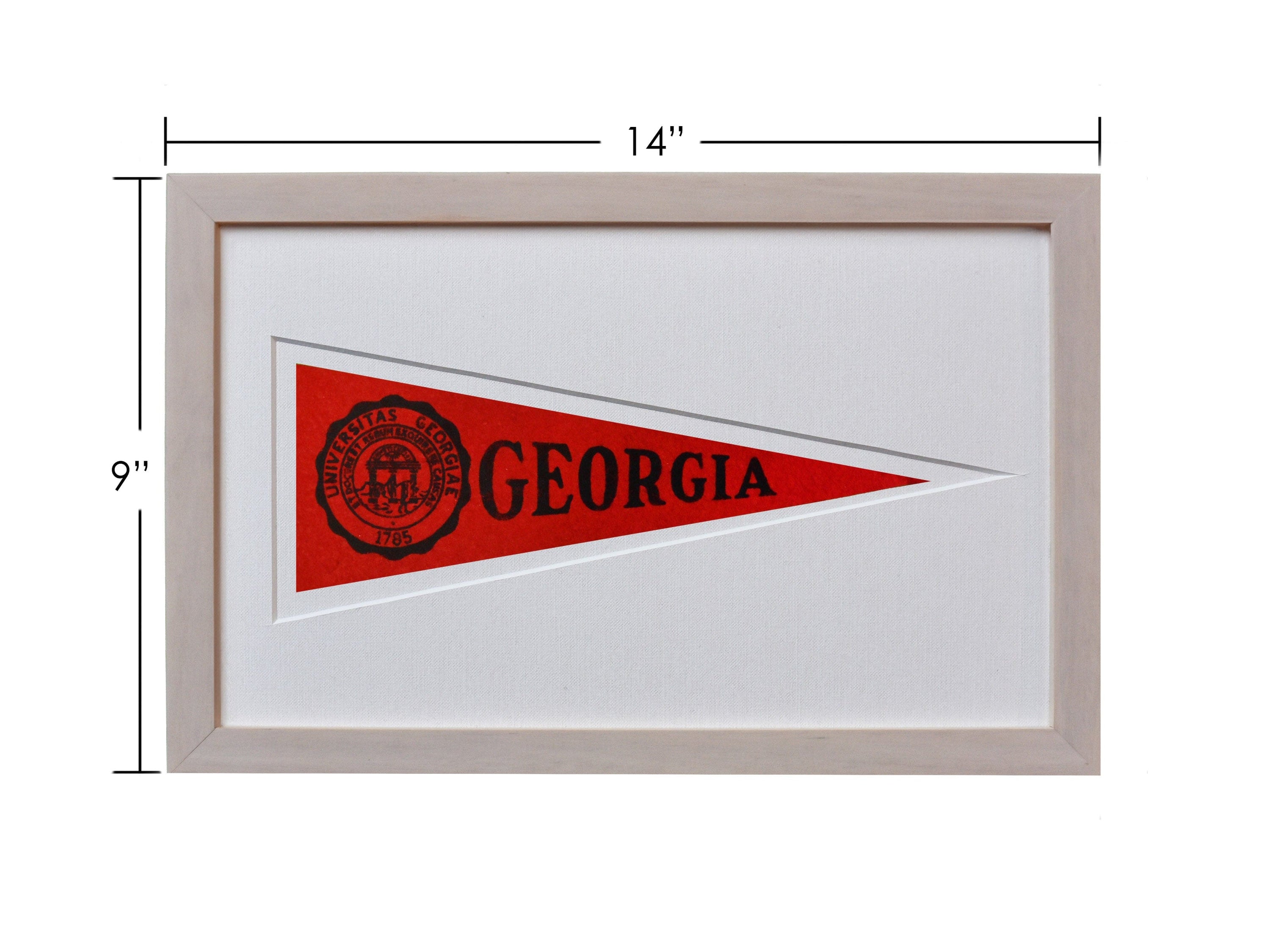 Americana Memories Vintage University of Georgia Hormel Pennant