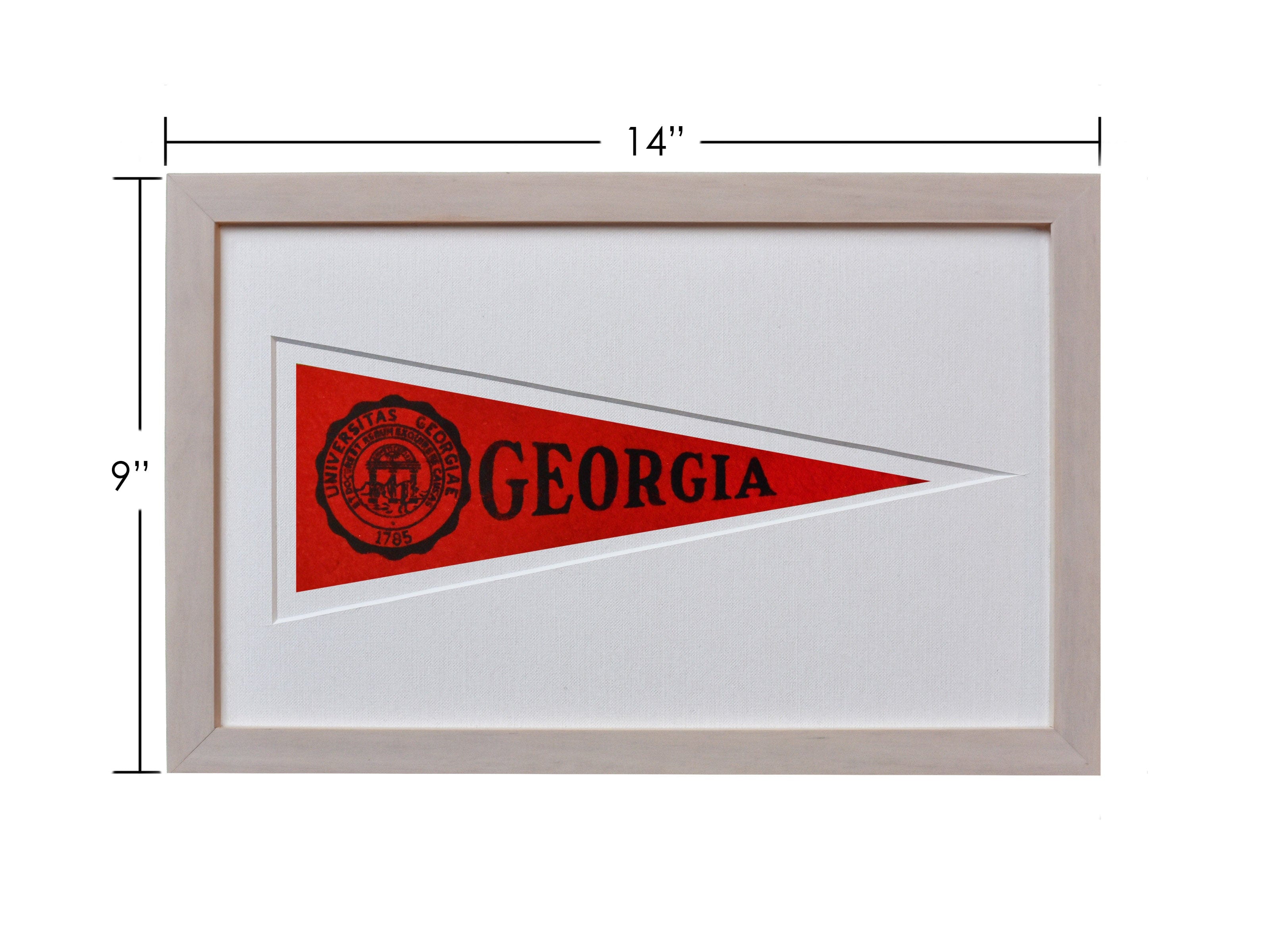Vintage University of Georgia Hormel Pennant - My American Goods