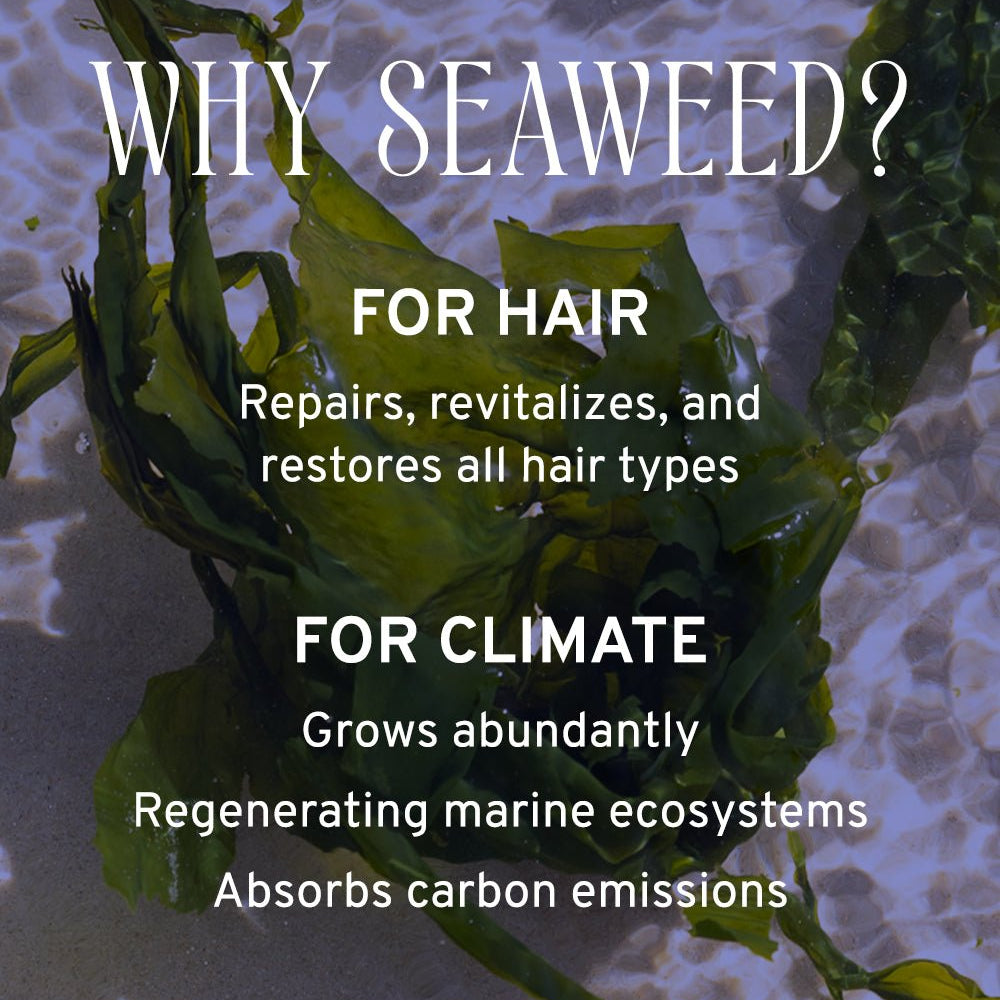 Seaweed with text about its benefits for hair and climate on a textured background