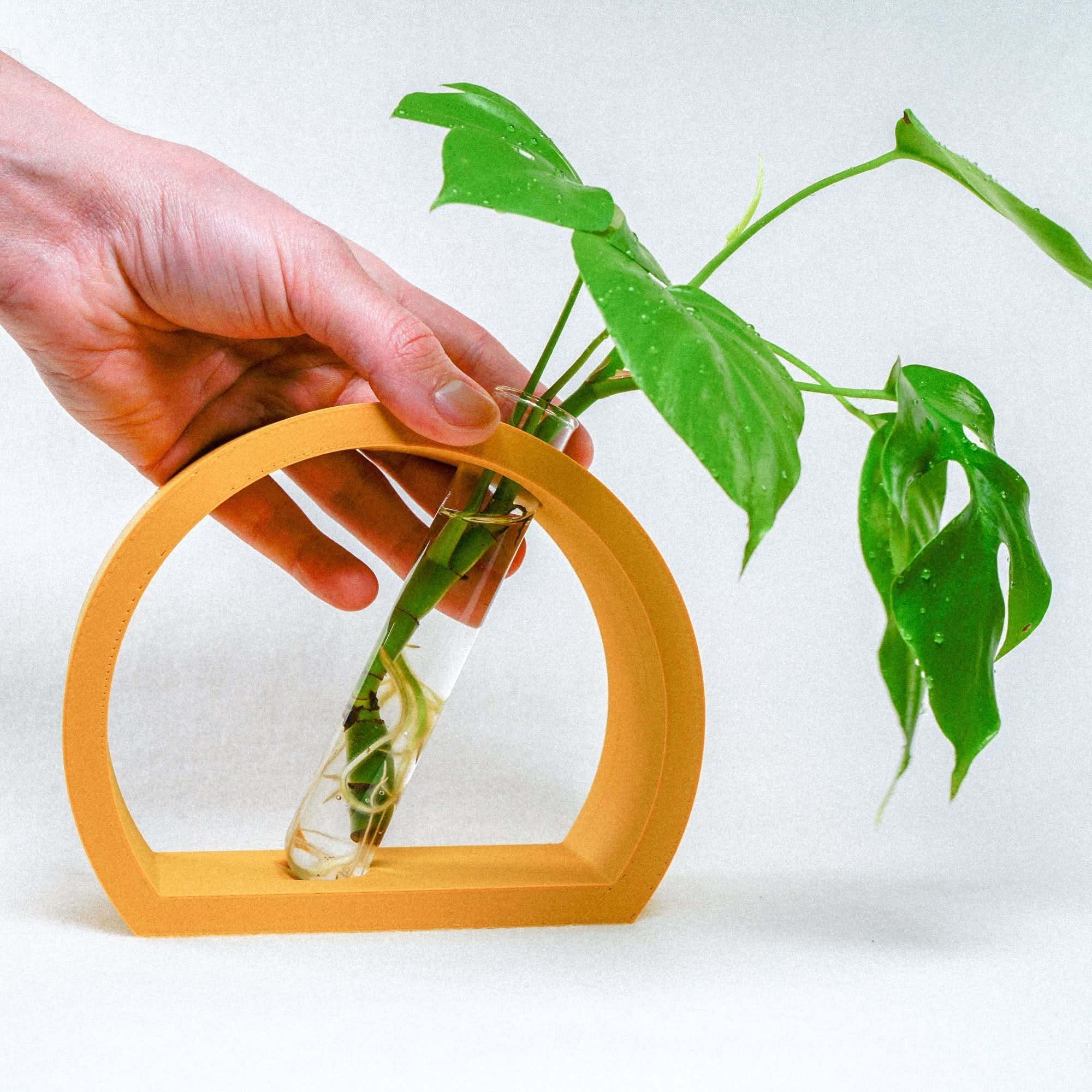 Half-Moon Propagation - My American Goods