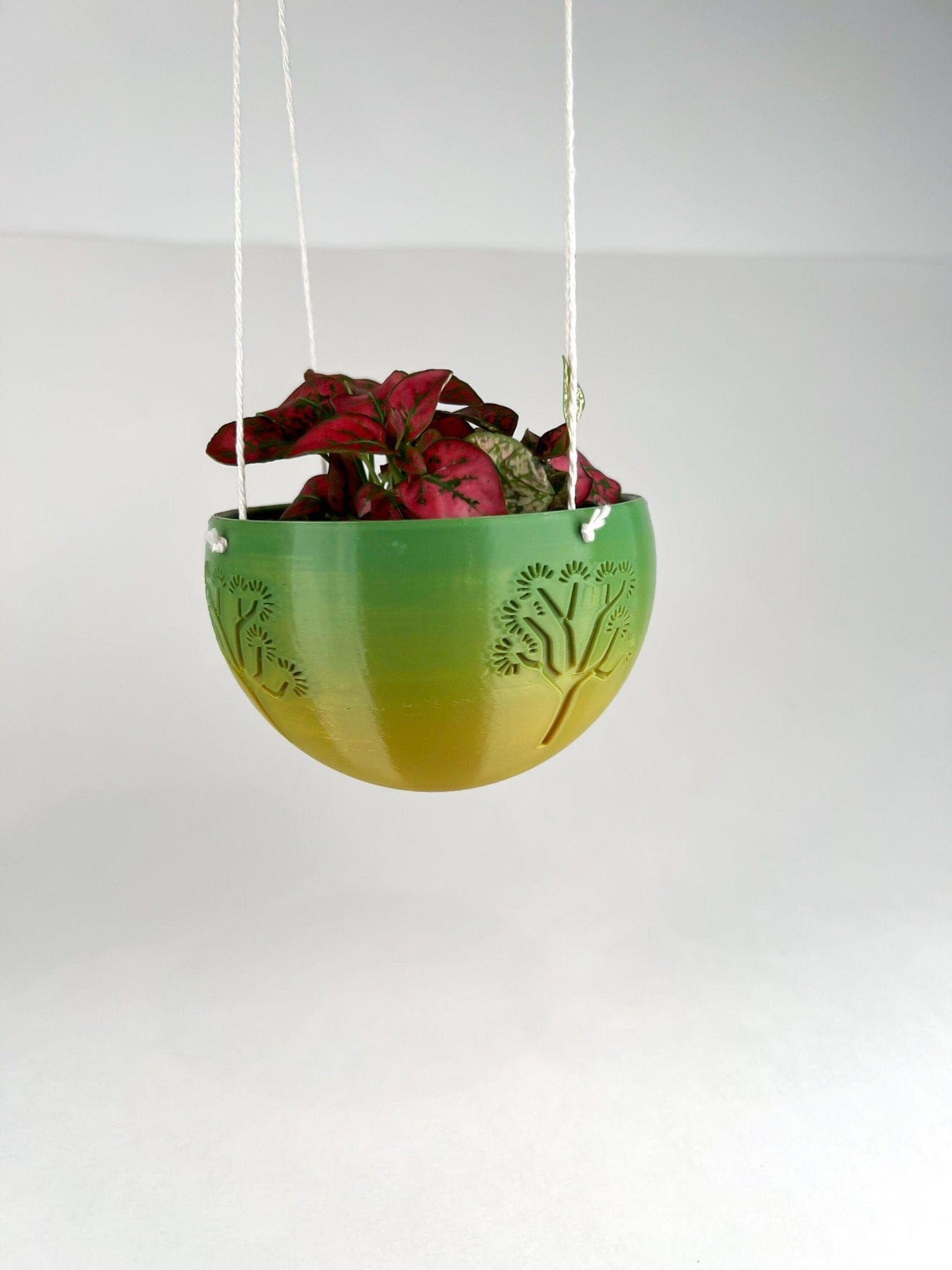 Rosebud HomeGoods Pots & Planters Hanging Joshua Tree Planter