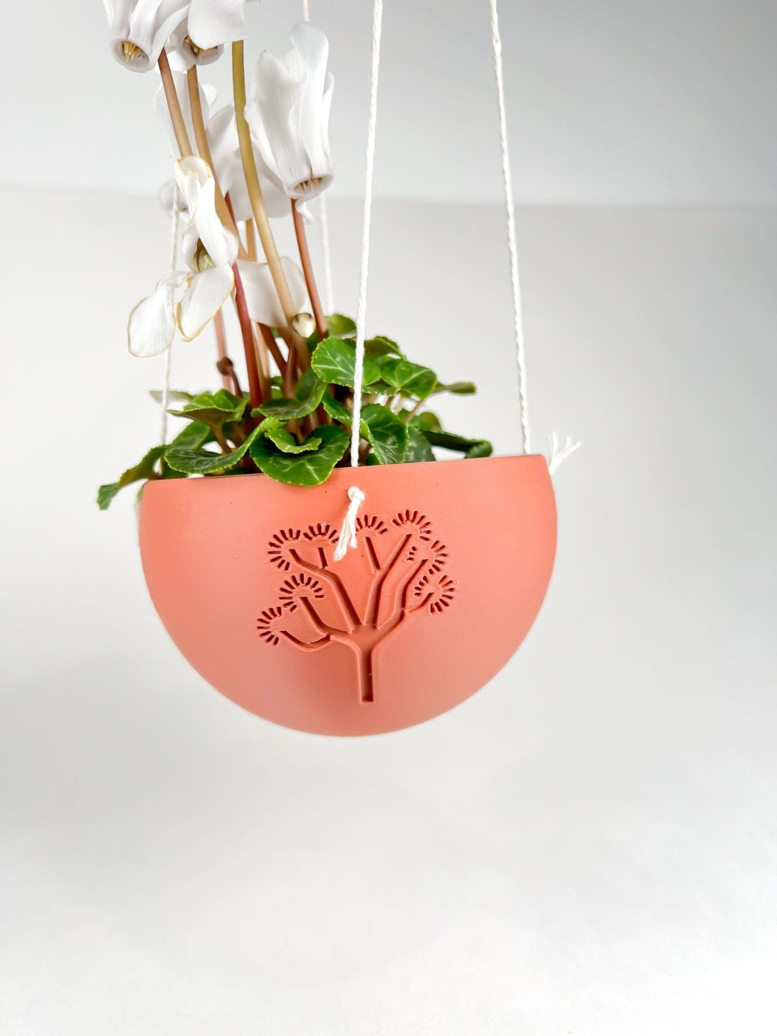 Rosebud HomeGoods Pots & Planters Hanging Joshua Tree Planter
