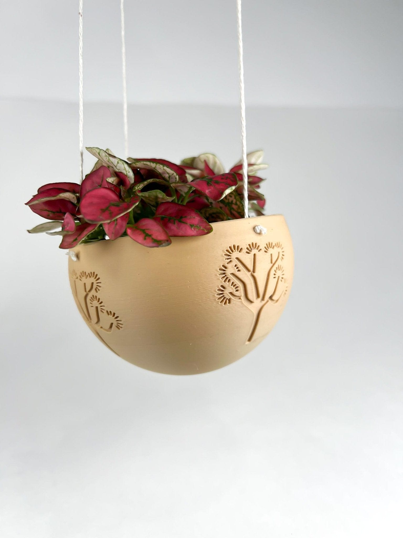 Rosebud HomeGoods Pots & Planters Hanging Joshua Tree Planter