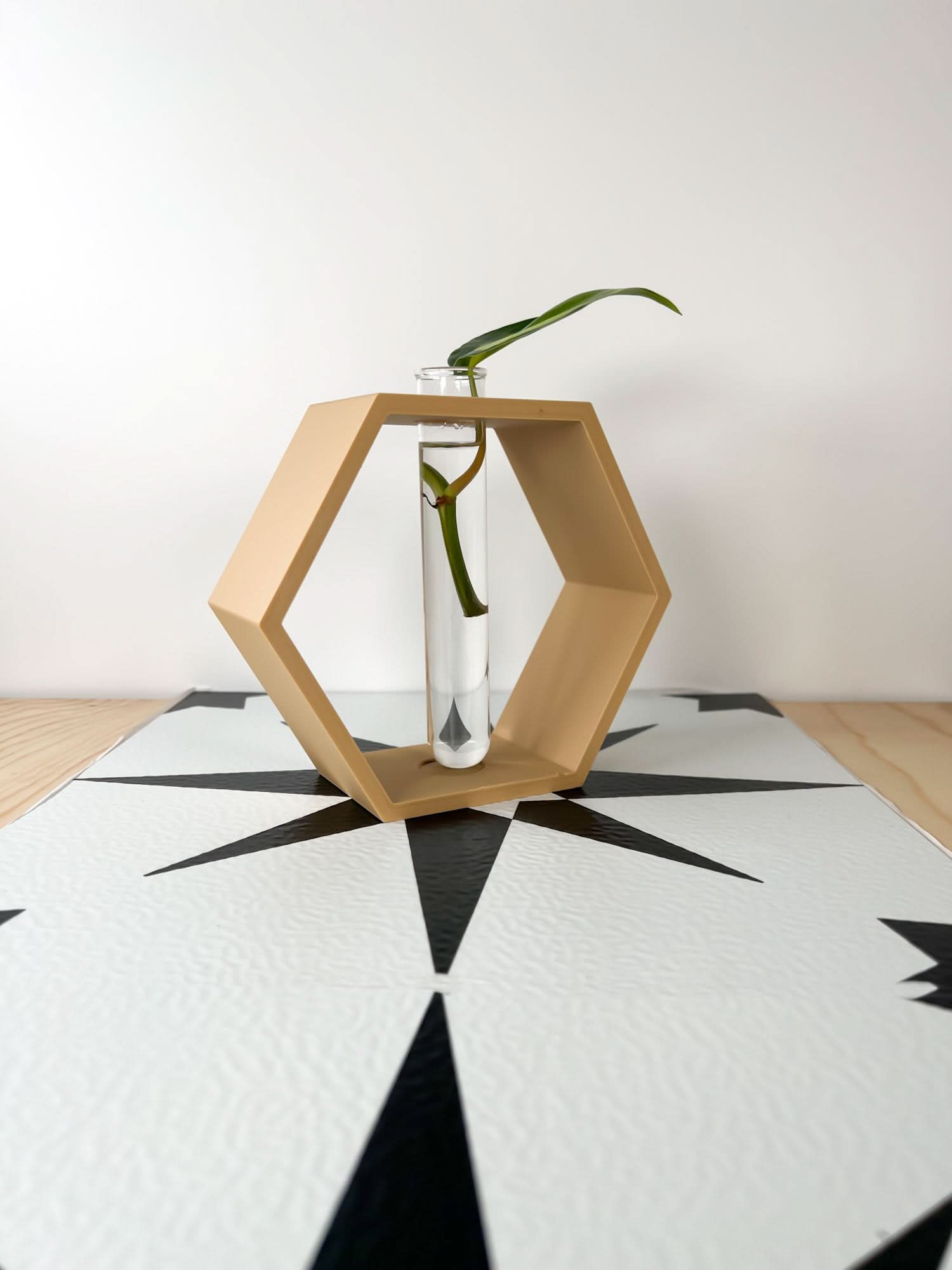 Rosebud HomeGoods Hexagon Propagation Station