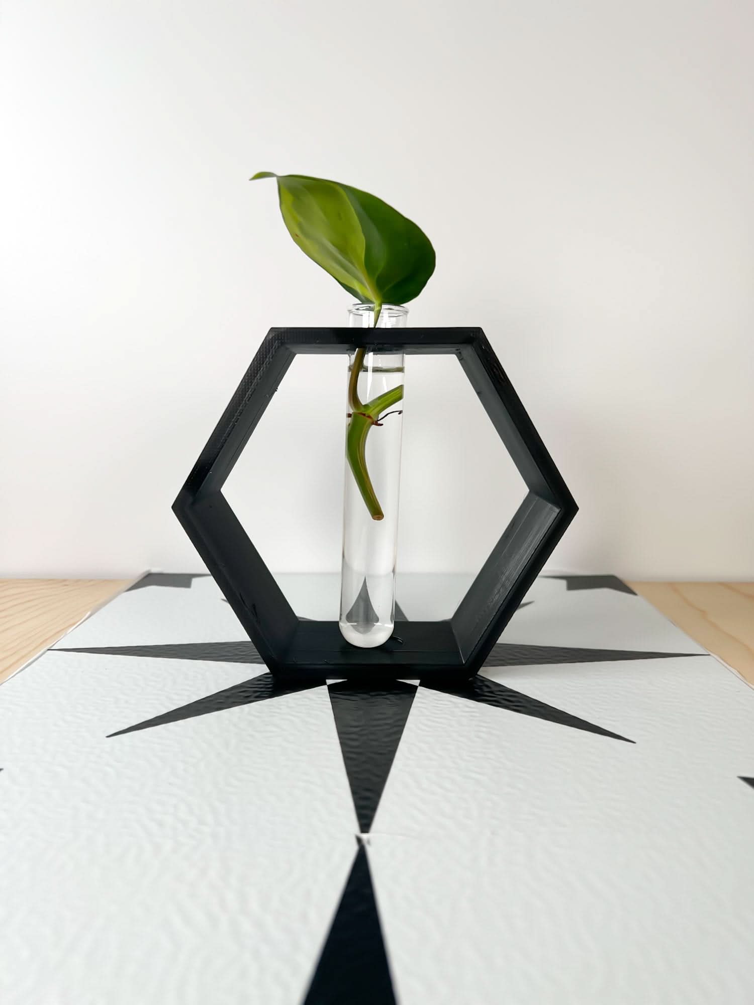 Rosebud HomeGoods Hexagon Propagation Station