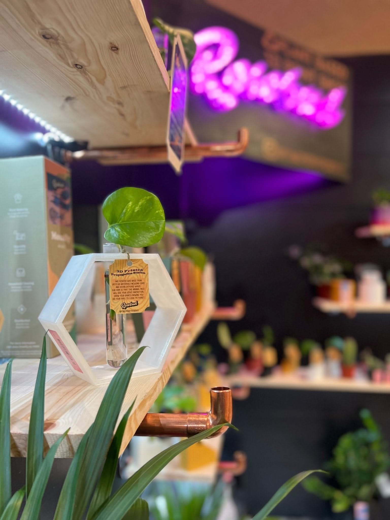 Hexagon Propagation Station - My American Goods