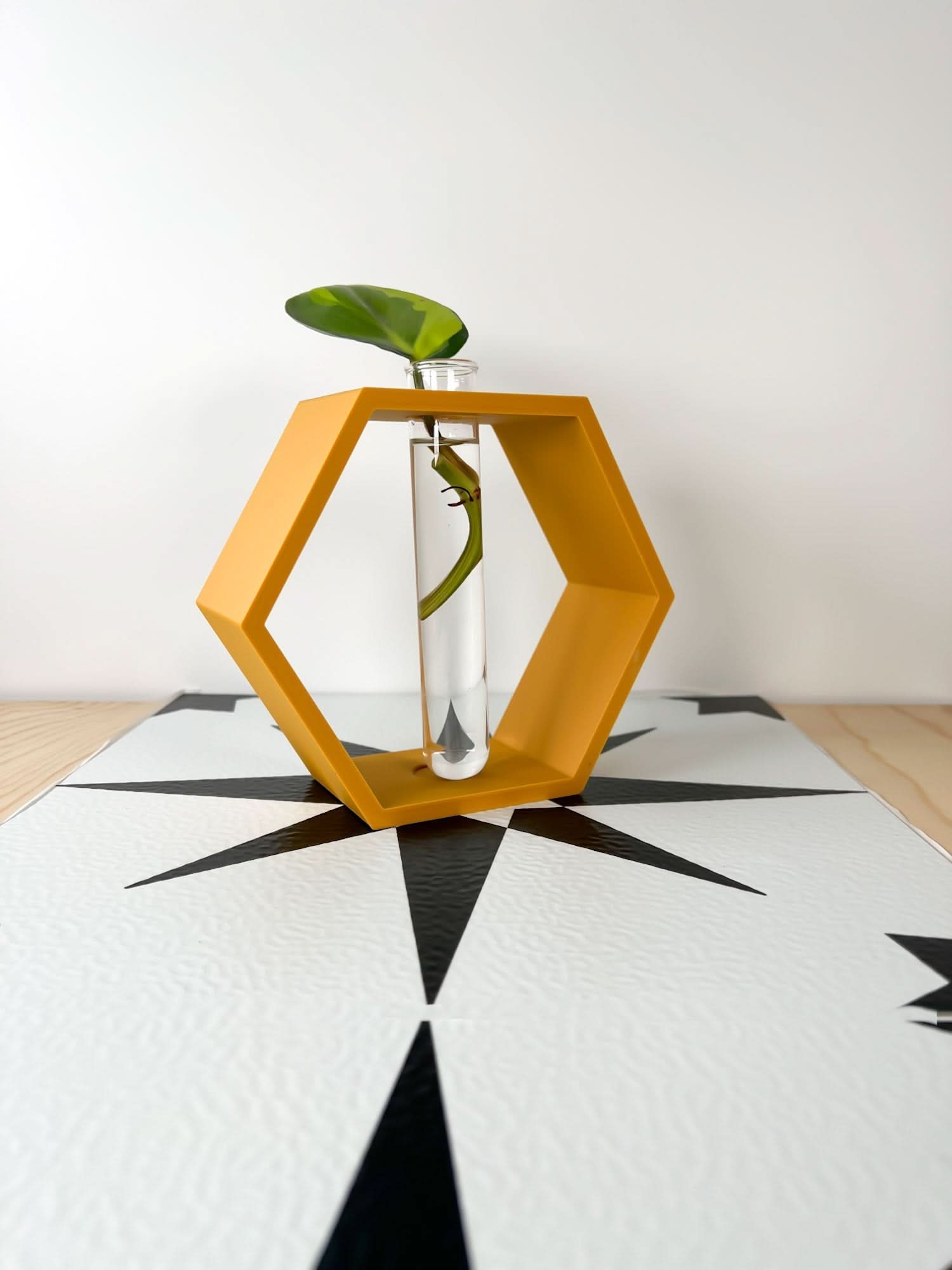 Rosebud HomeGoods Hexagon Propagation Station