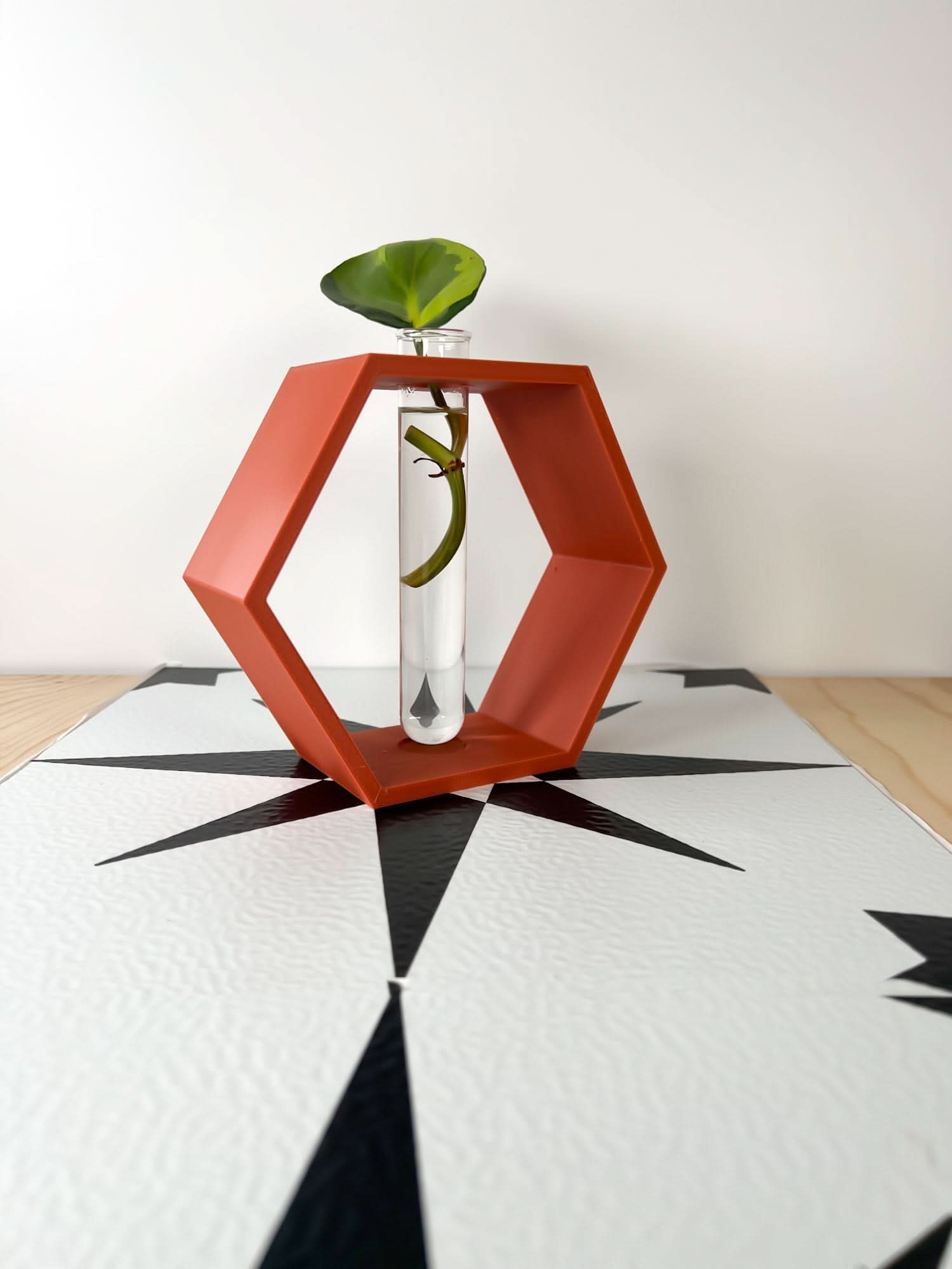 Rosebud HomeGoods Hexagon Propagation Station