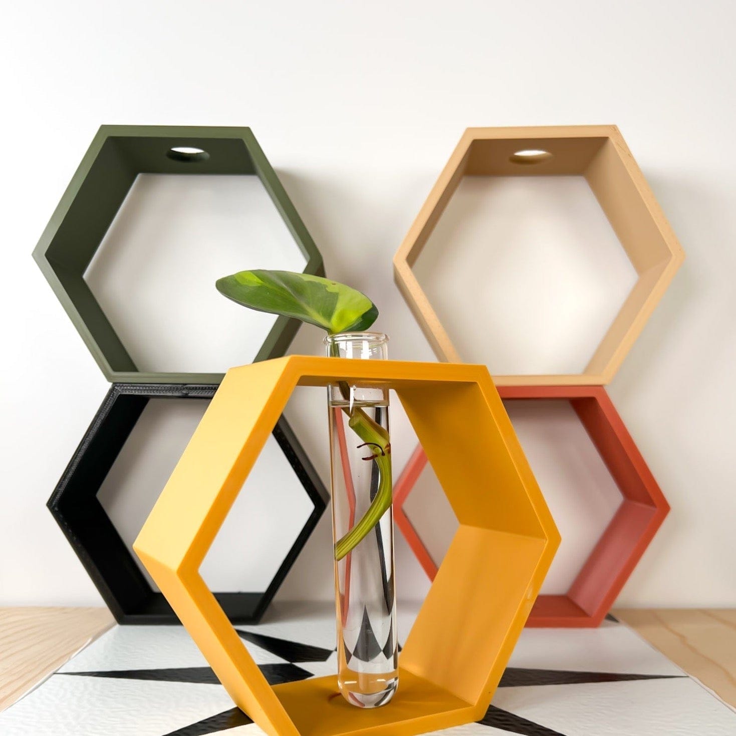 Rosebud HomeGoods Black / Stand & Tube Hexagon Propagation Station