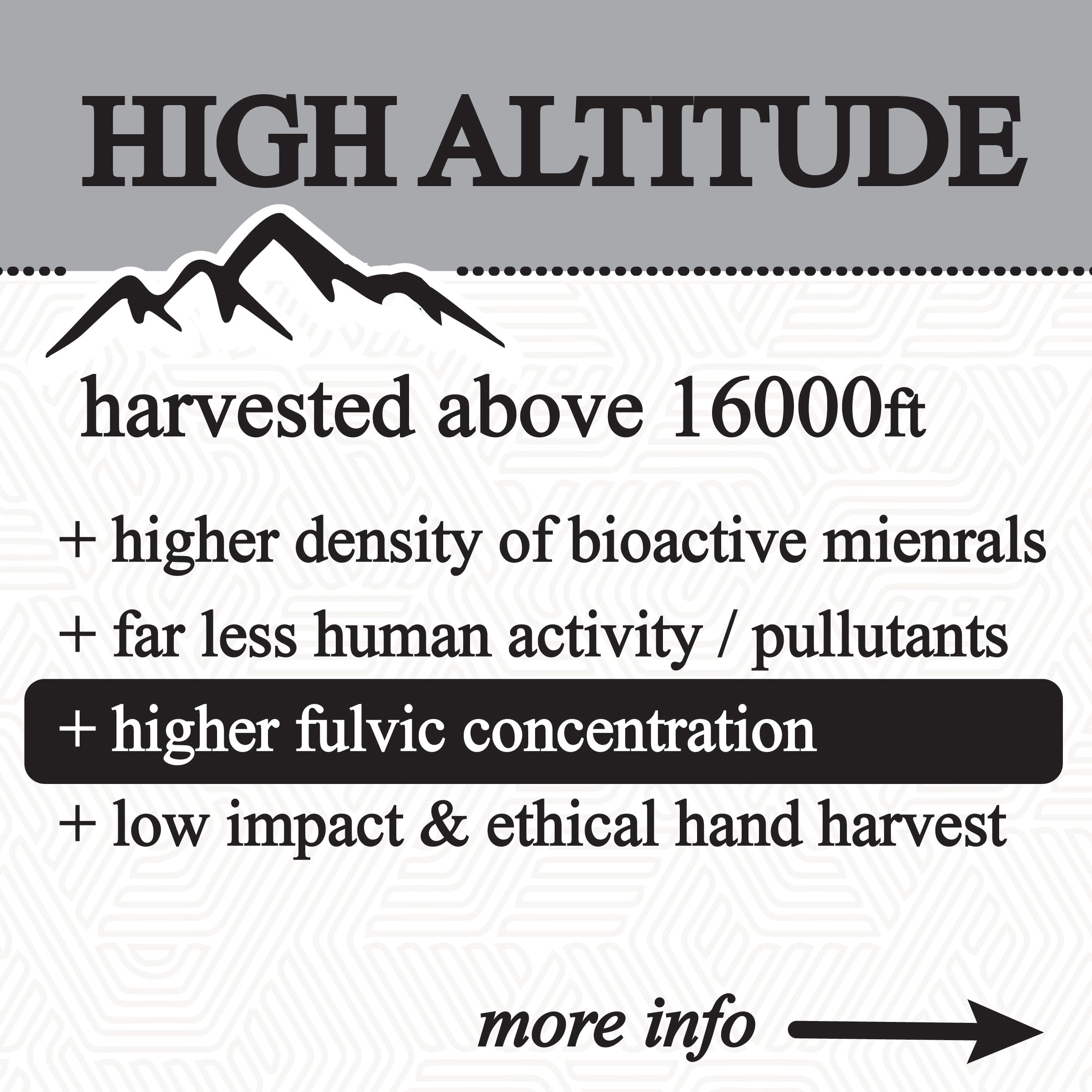Himalayan Shilajit Glycerite – 60 mL