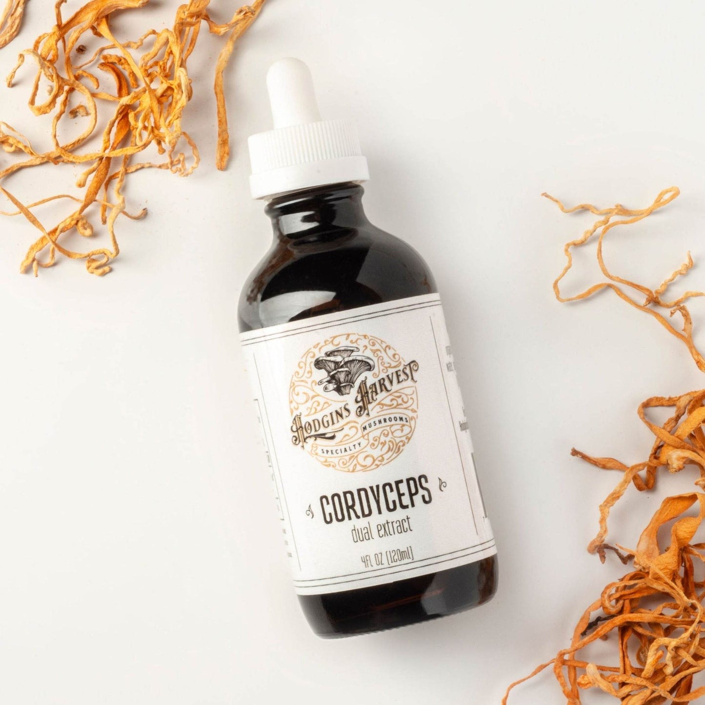 Cordyceps Dual Extract Tincture - My American Goods