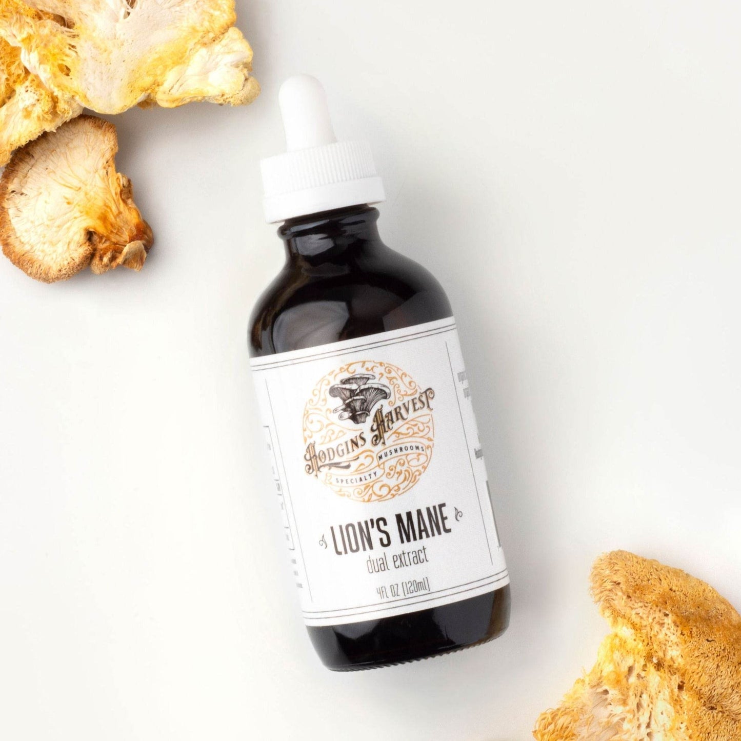 Lion's Mane Dual Extract Tincture - My American Goods