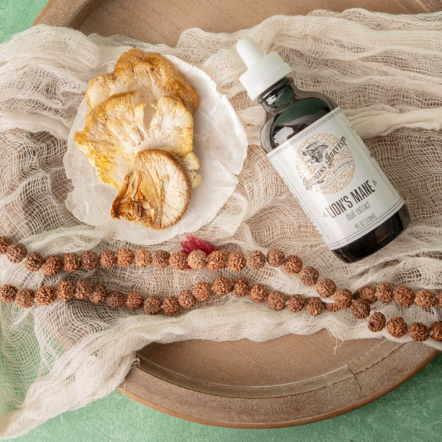 Lion's Mane Dual Extract Tincture - My American Goods