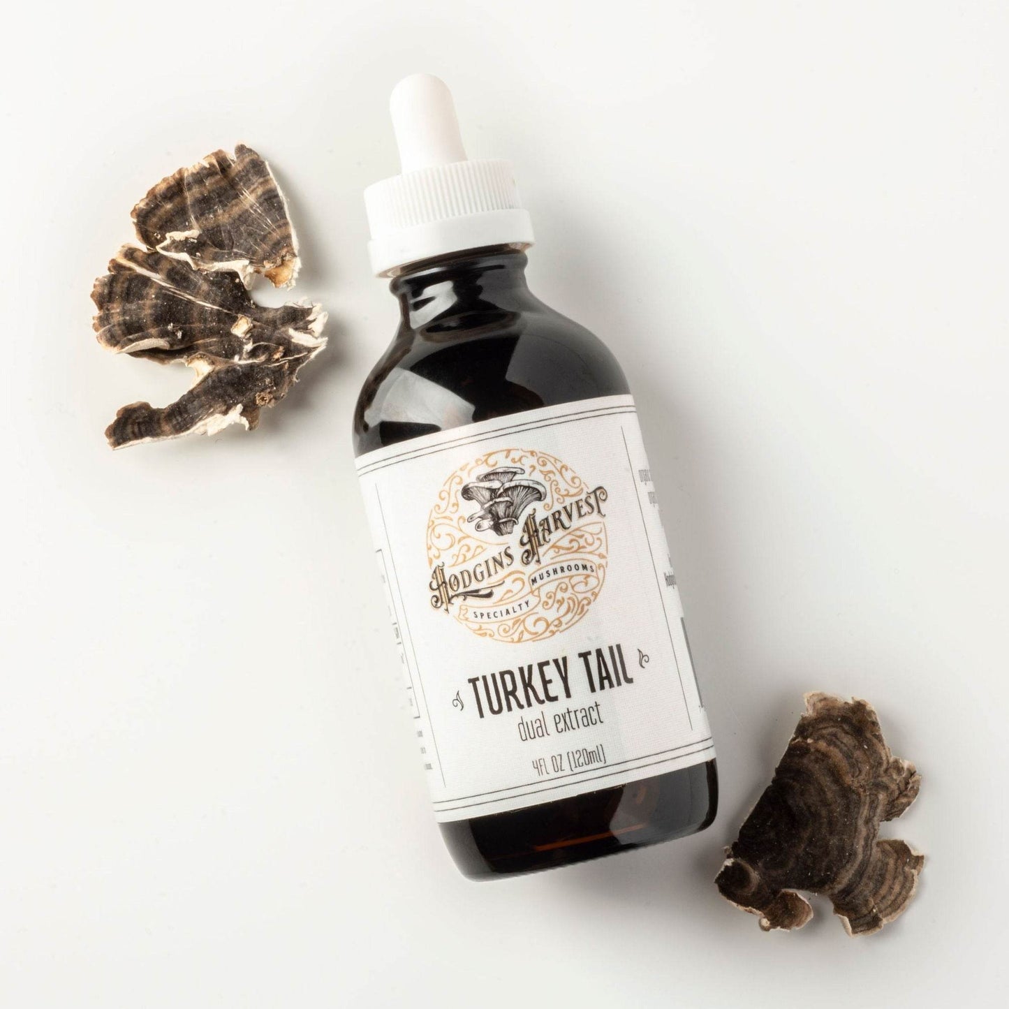 Turkey Tail Dual Extract Tincture - My American Goods