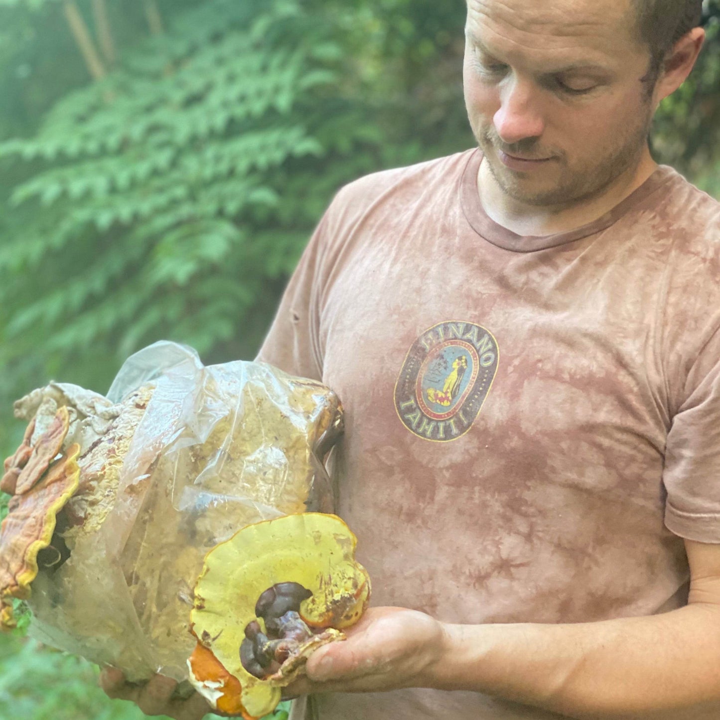 Lion's Mane + Reishi Dual Extract Tincture - My American Goods
