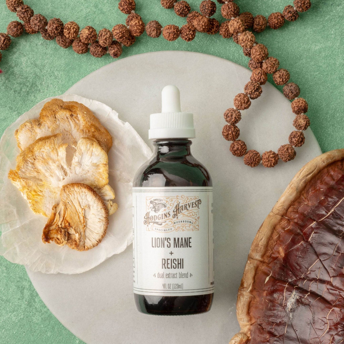 Lion's Mane + Reishi Dual Extract Tincture - My American Goods