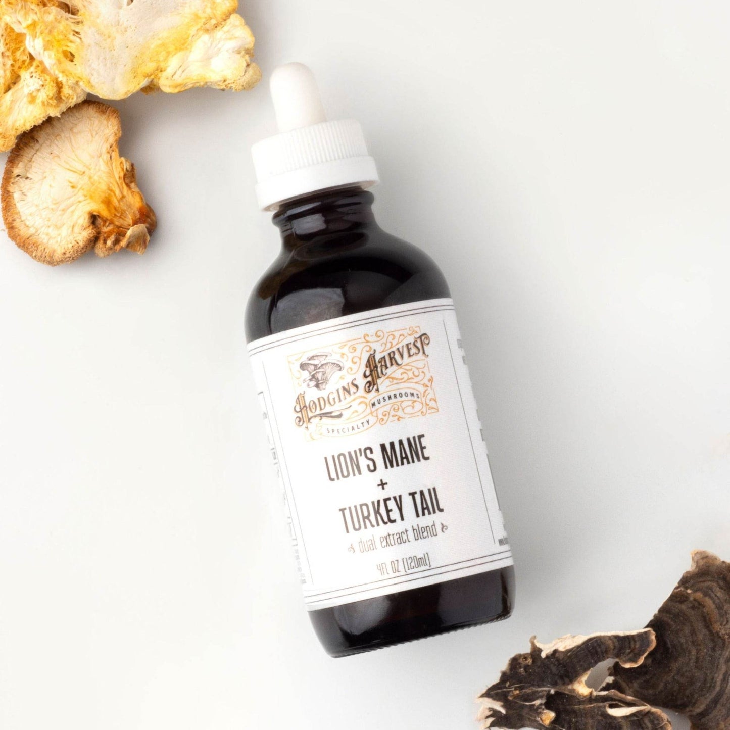Lion's Mane + Turkey Tail Dual Extract Tincture - My American Goods