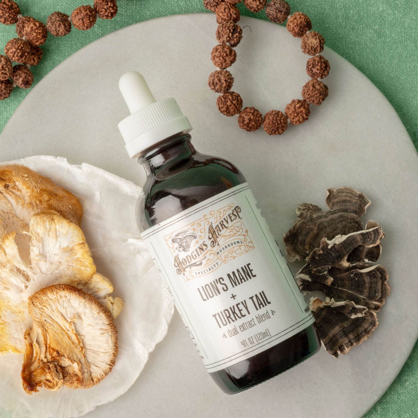 Lion's Mane + Turkey Tail Dual Extract Tincture - My American Goods