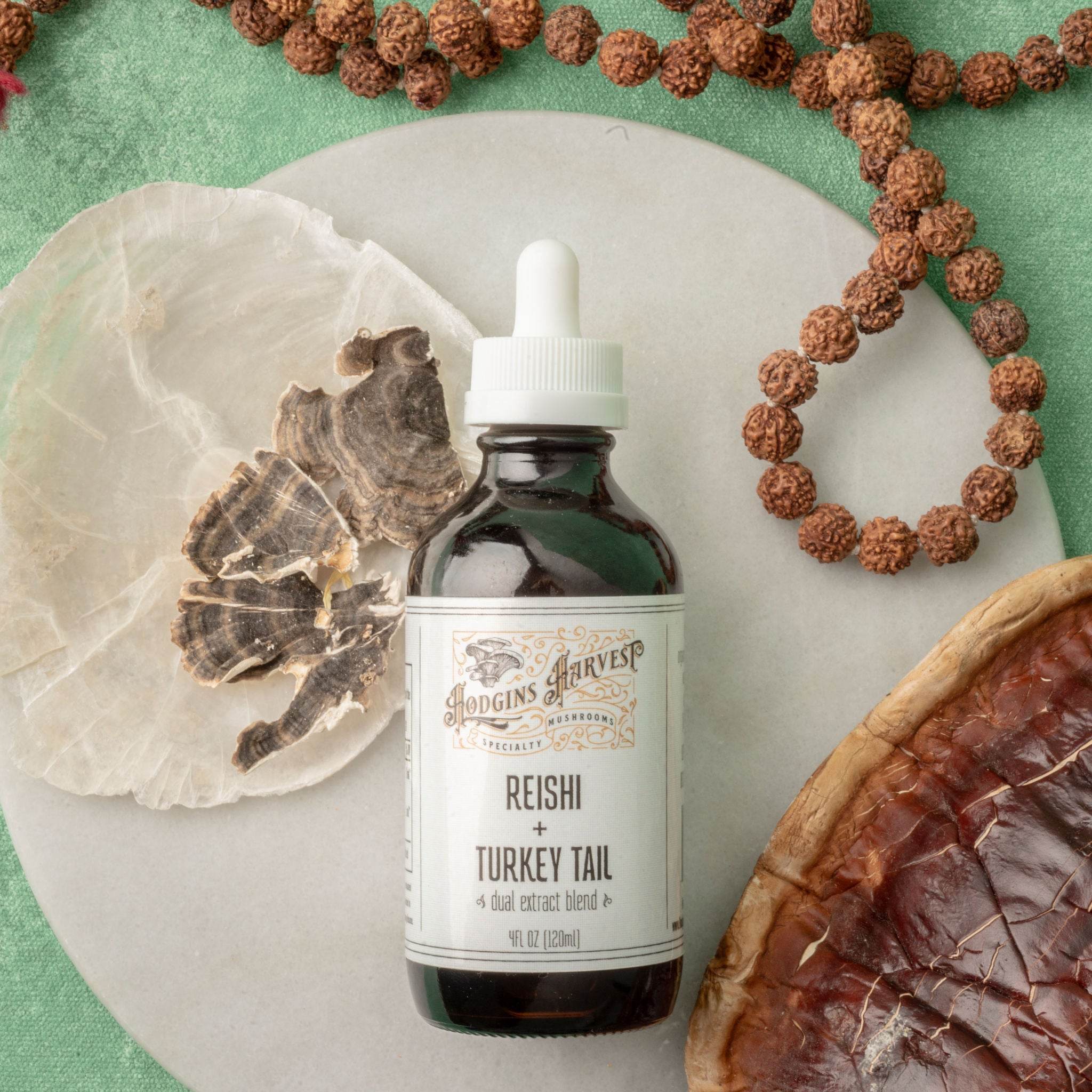 Reishi + Turkey Tail Dual Extract Tincture - My American Goods