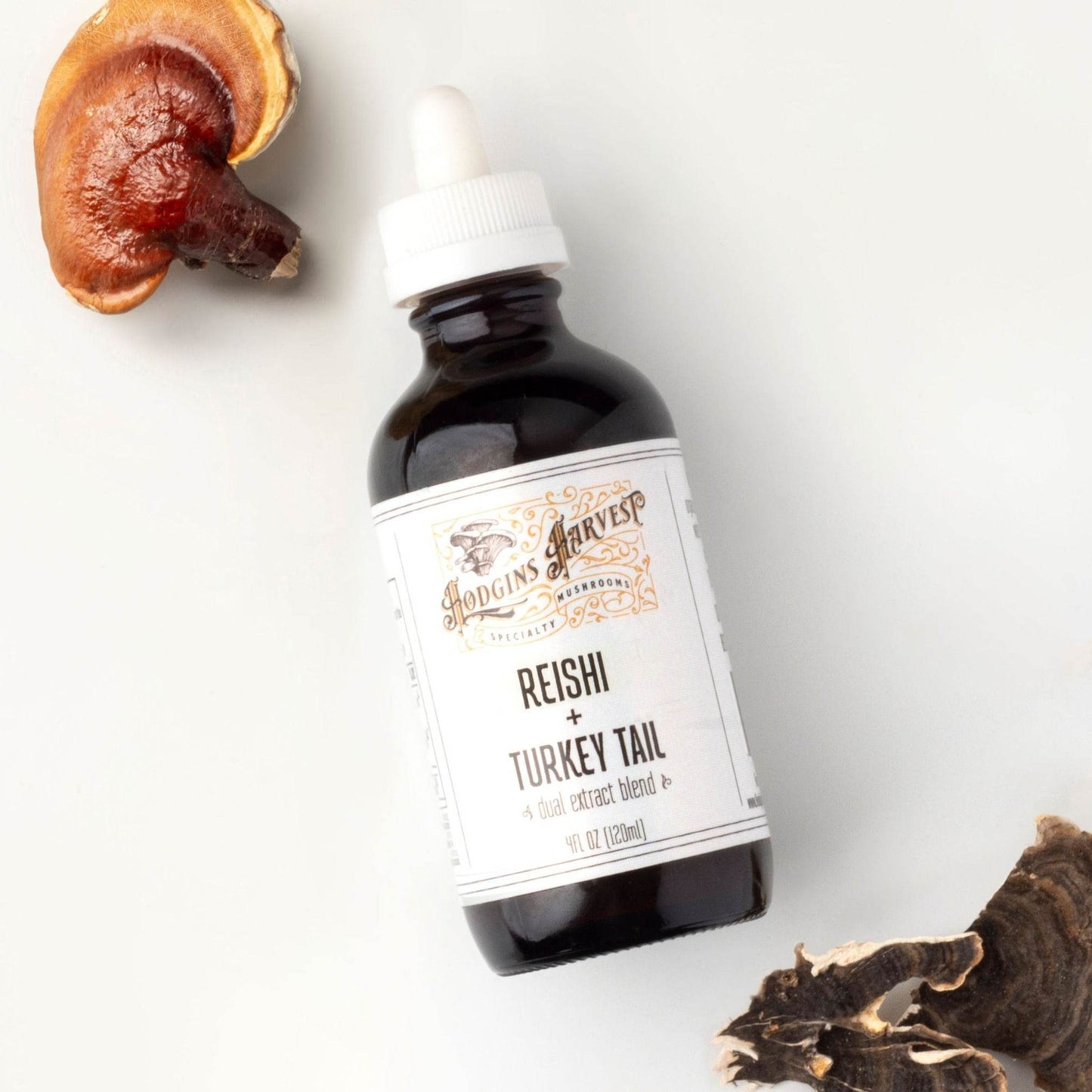 Reishi + Turkey Tail Dual Extract Tincture - My American Goods