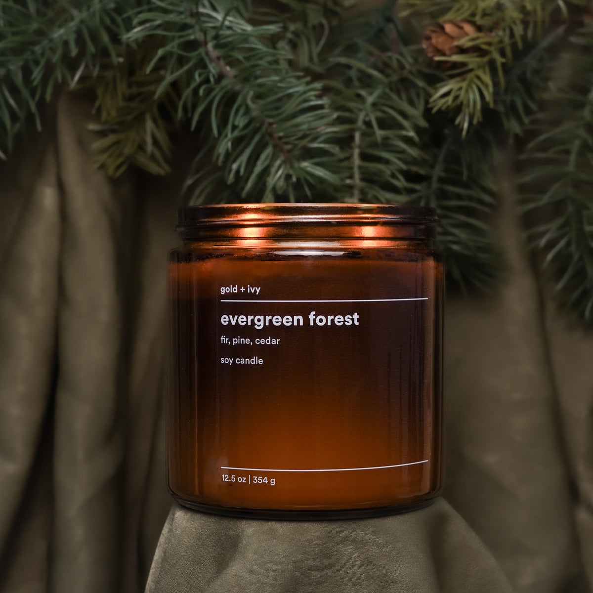evergreen forest