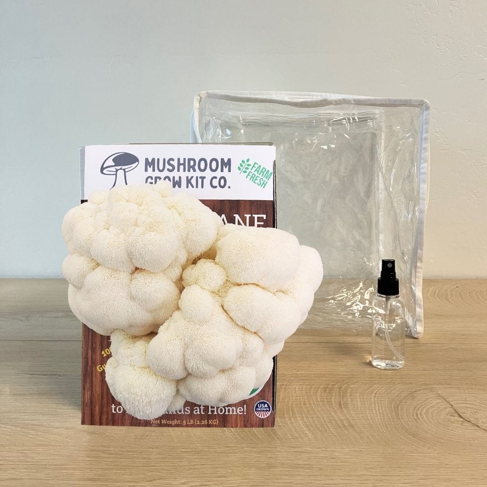 Mushroom Grow Kit Co. 3 Pack - Premium Lion&