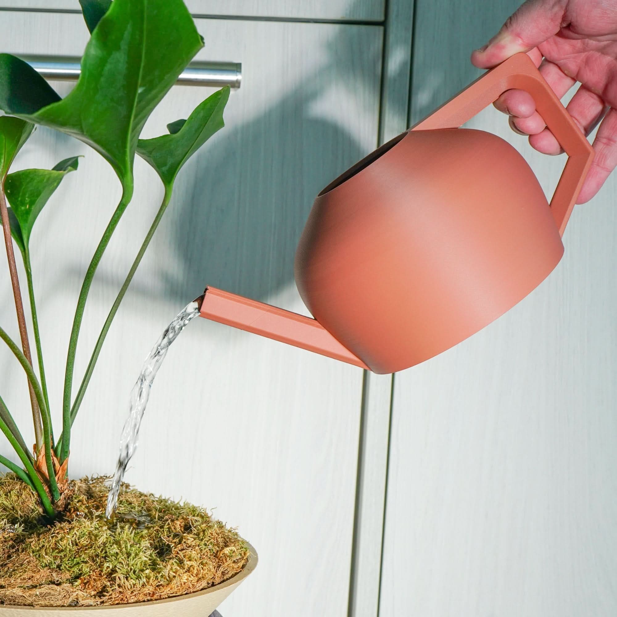 HydraMate Modern Watering Can for Houseplants - My American Goods