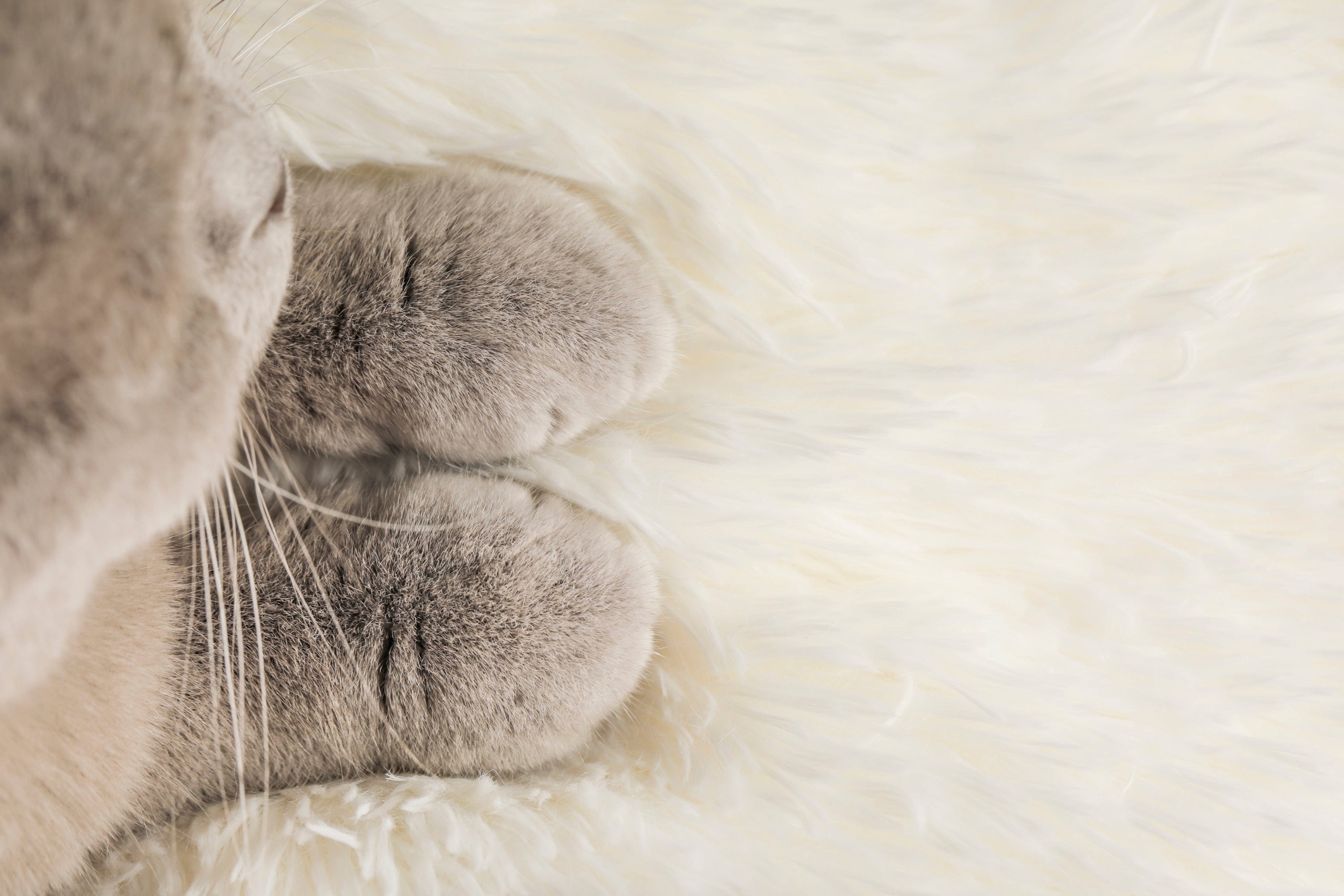 LUNA Ivory Loaf Blanket