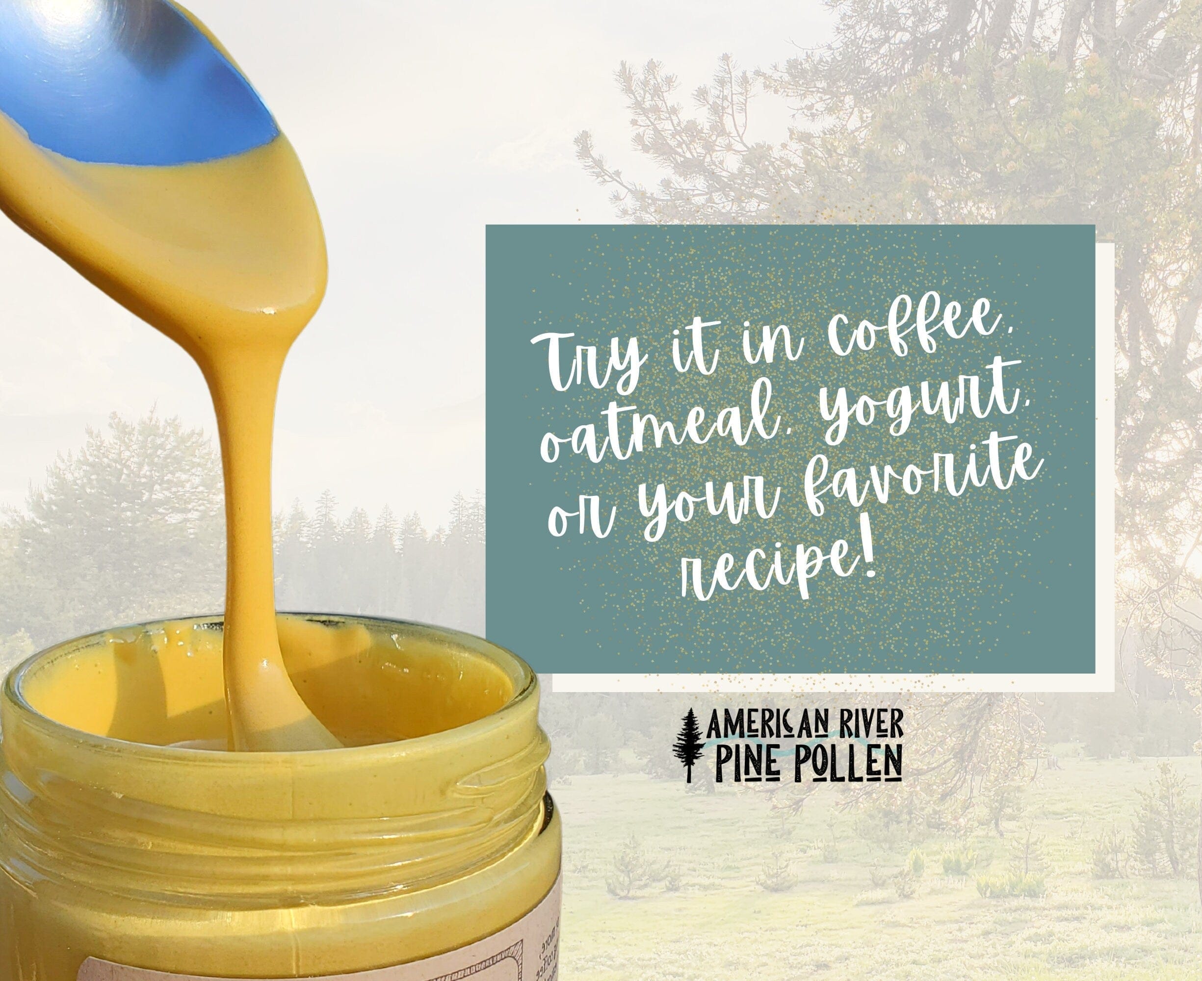 AmericanRiverPinePollen Liquid Gold - Wildcrafted Raw Pine Pollen and Honey - Traditional Blend with Pine Synergy