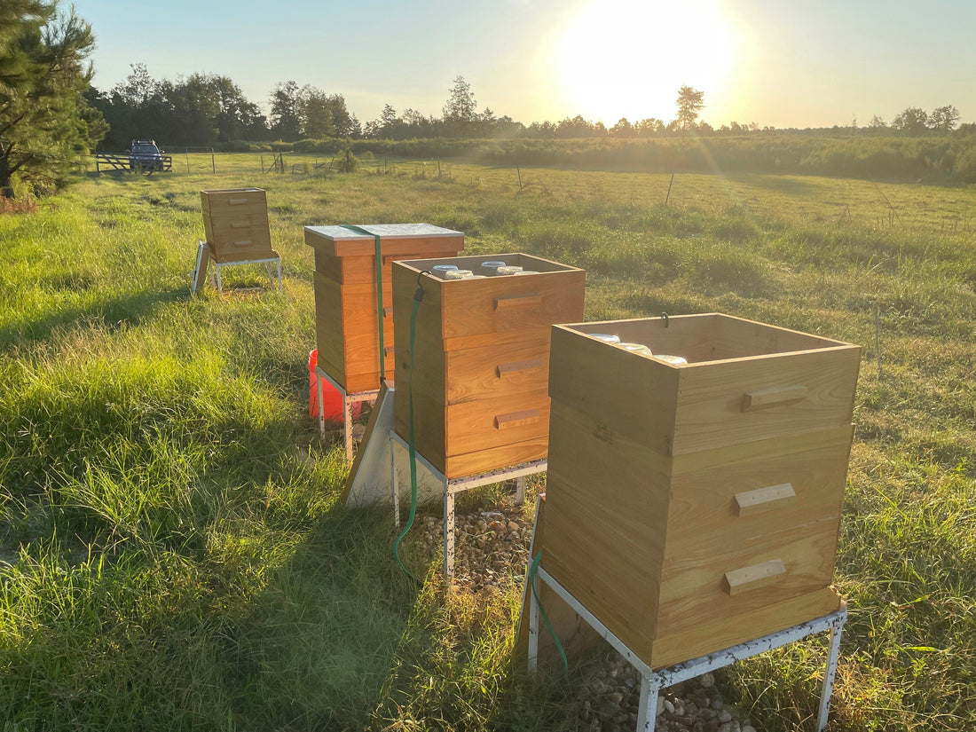 All Natural Raw Unfiltered Honey - My American Goods