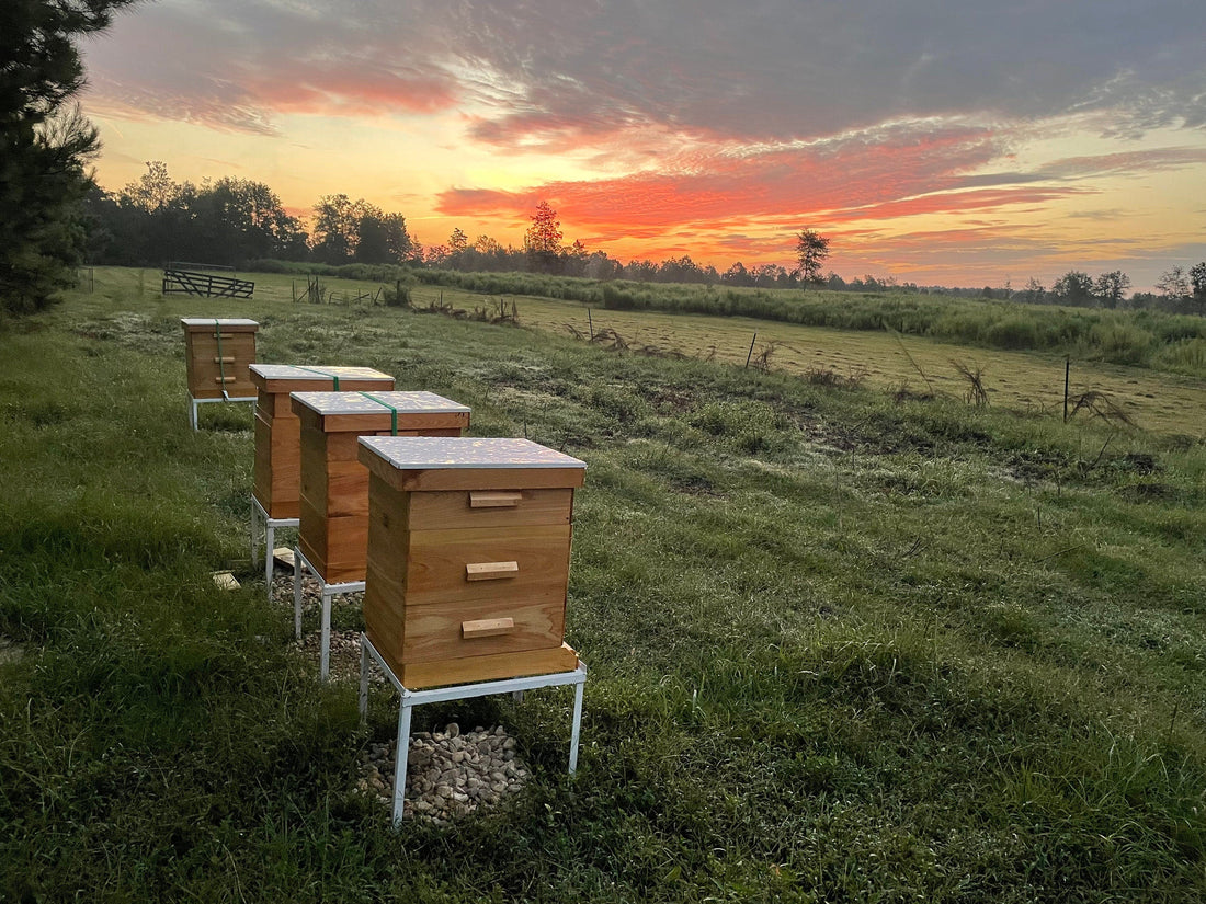 Red Pepper Infused Hot Honey - My American Goods