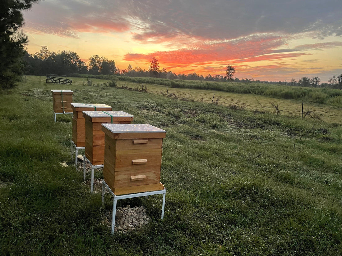 Cinnamon Creamed Whipped Honey - My American Goods