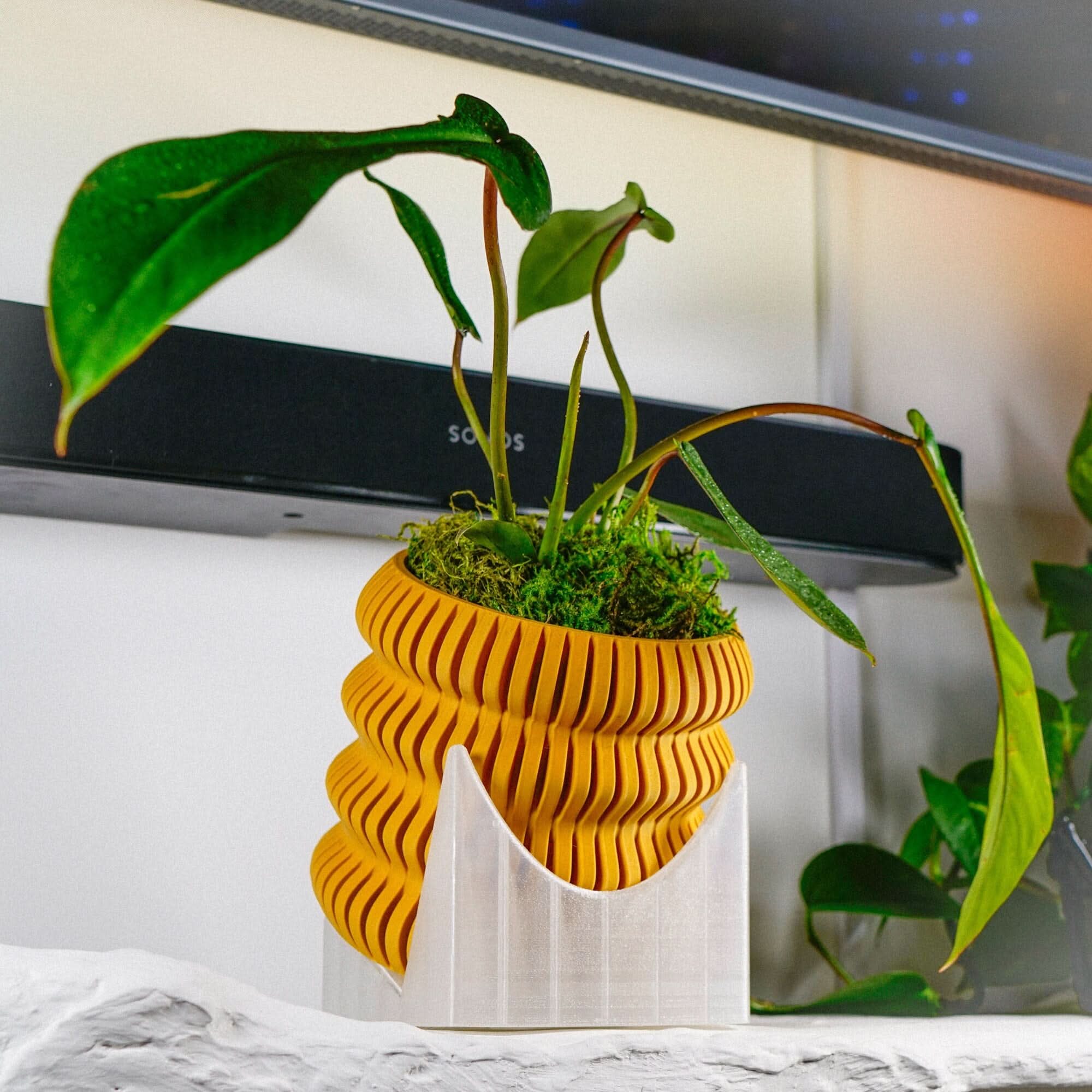 Rosebud HomeGoods Leaf Leaner Plant Riser